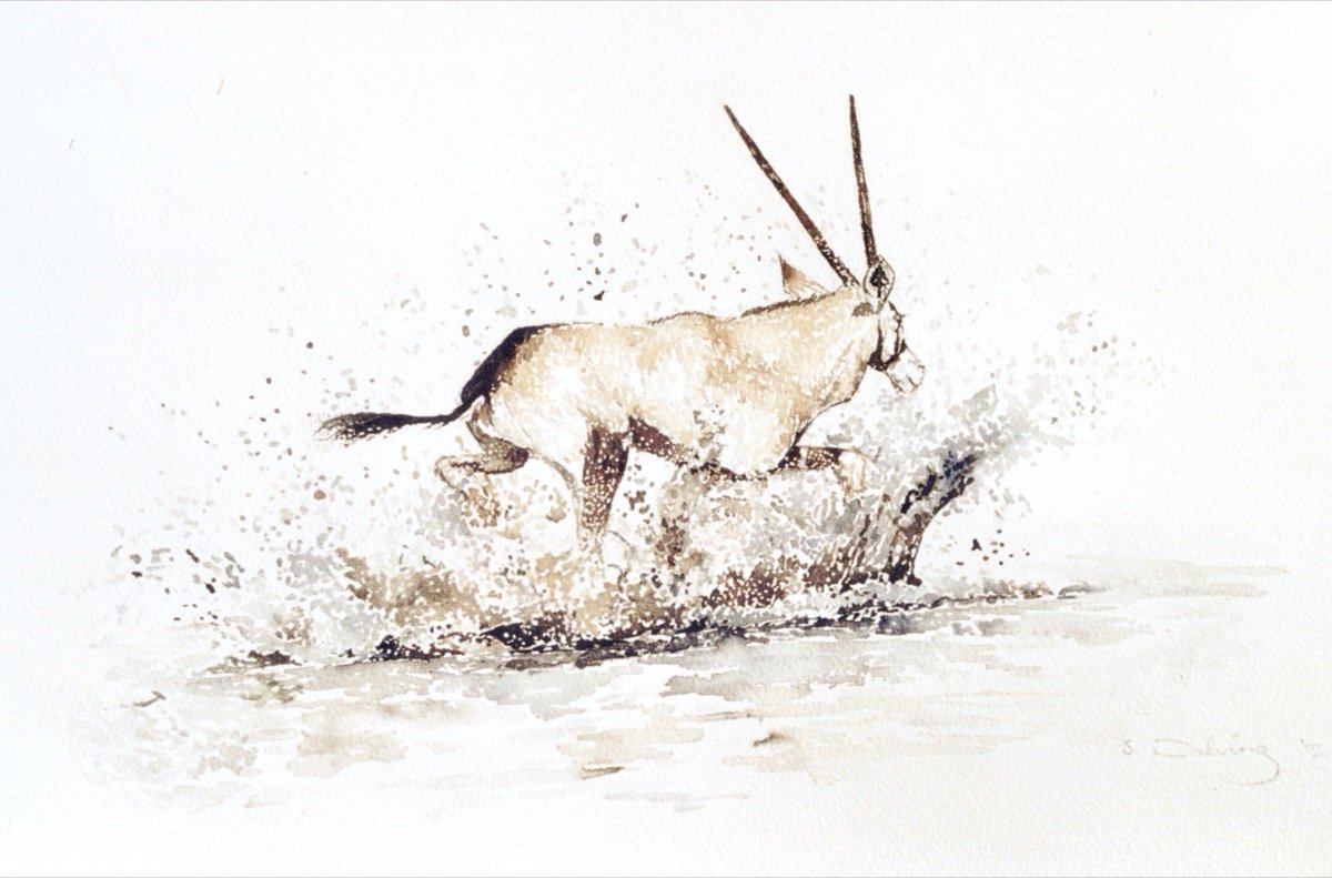 Water Runner • watercolour • 30x45cm