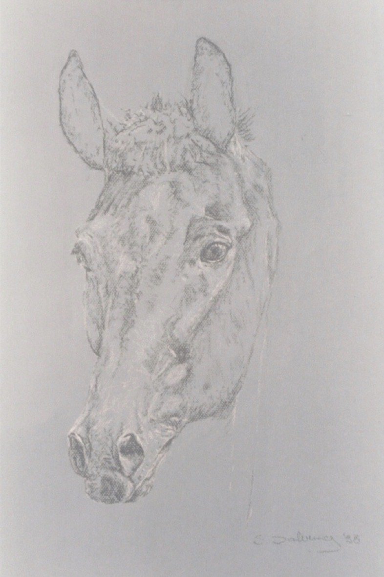 Horse • pastel • 65x42cm