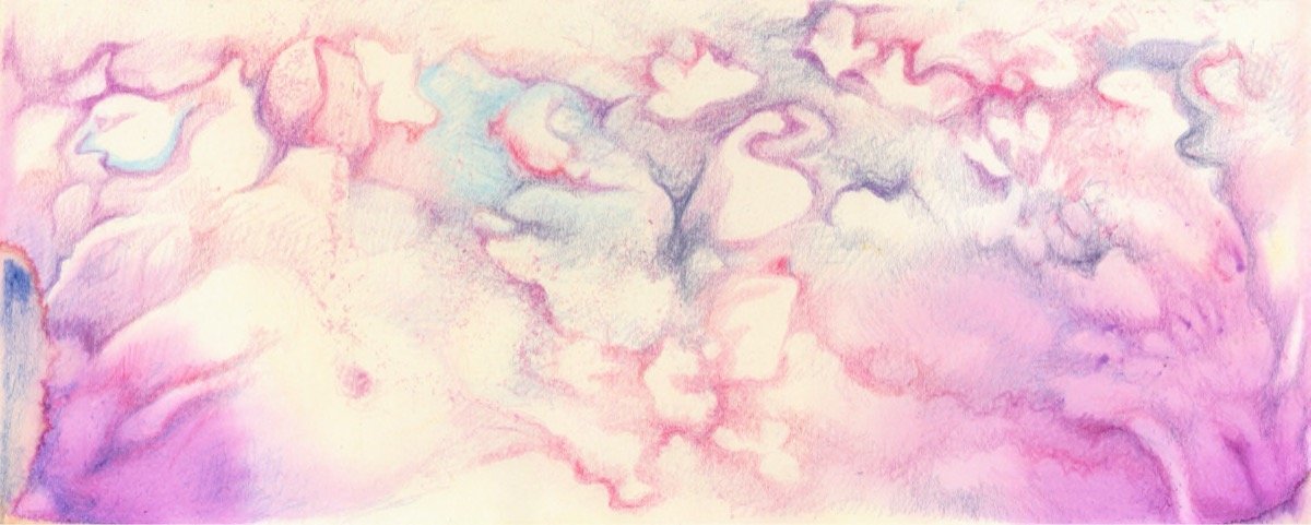 Organic Silk • pencil • 8x21cm