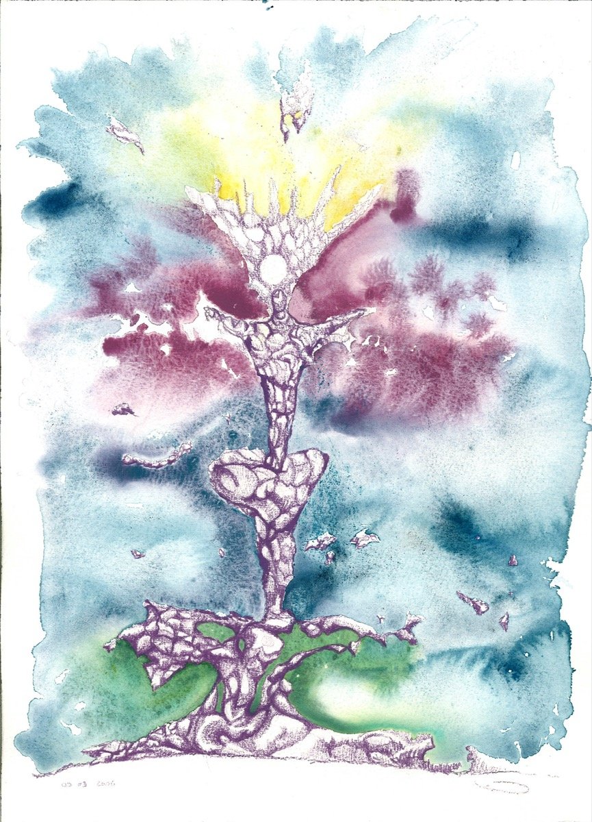 Blooming • watercolour & pencil • 41x31cm