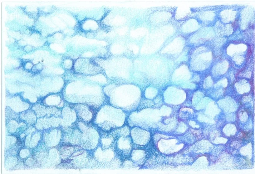 Blue Cells  • pencil  • 10x15cm