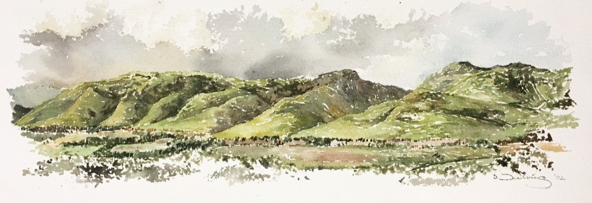 Langebergen • watercolour • 20x45cm