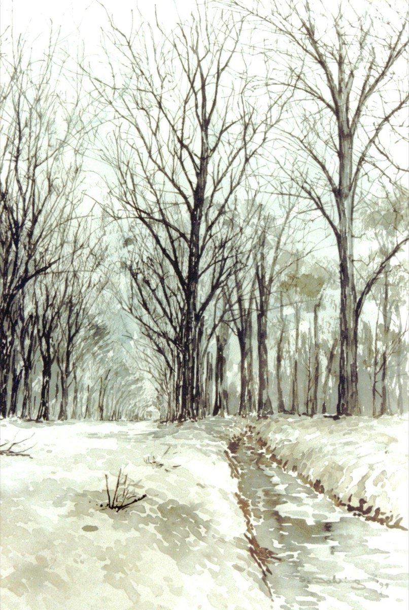 Forest path under snow (St Job - Belgium)
• watercolour • 60x40cm