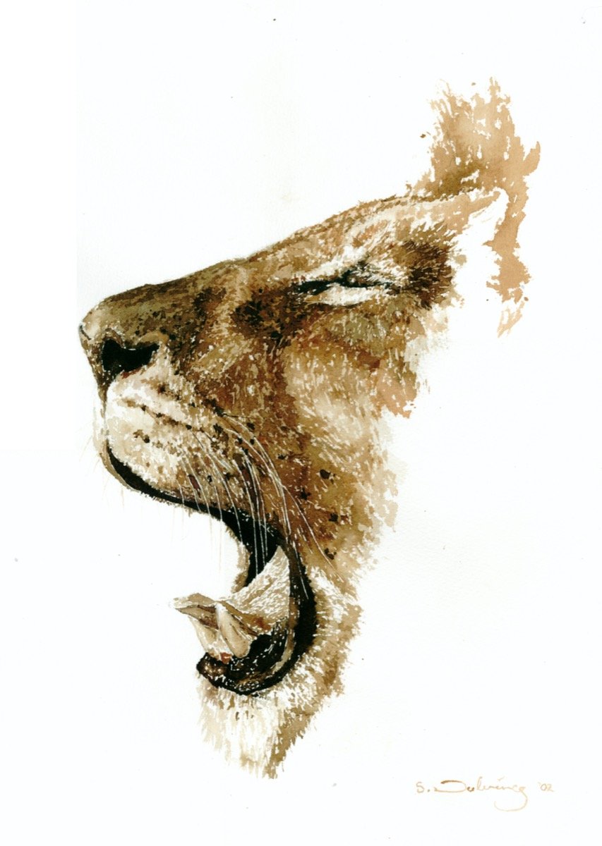 Yawning lion • watercolour • 50x36cm