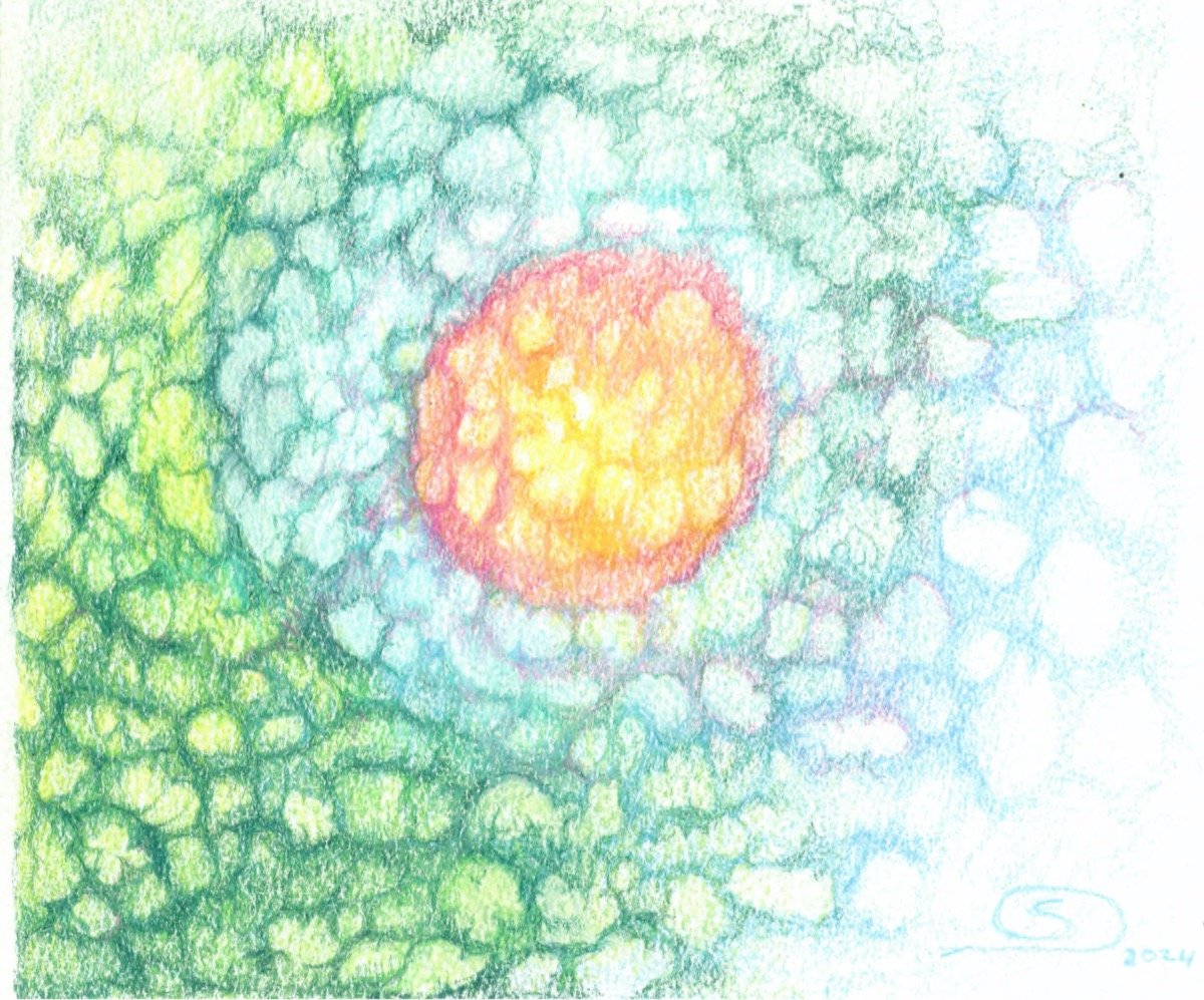 An Organic Cell • pencil • 18x25cm