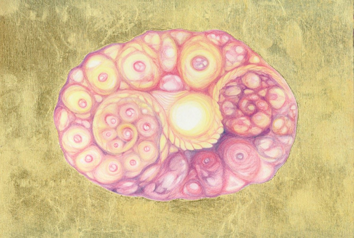 Embryo • pencil & gold-leaf • 22x31cm