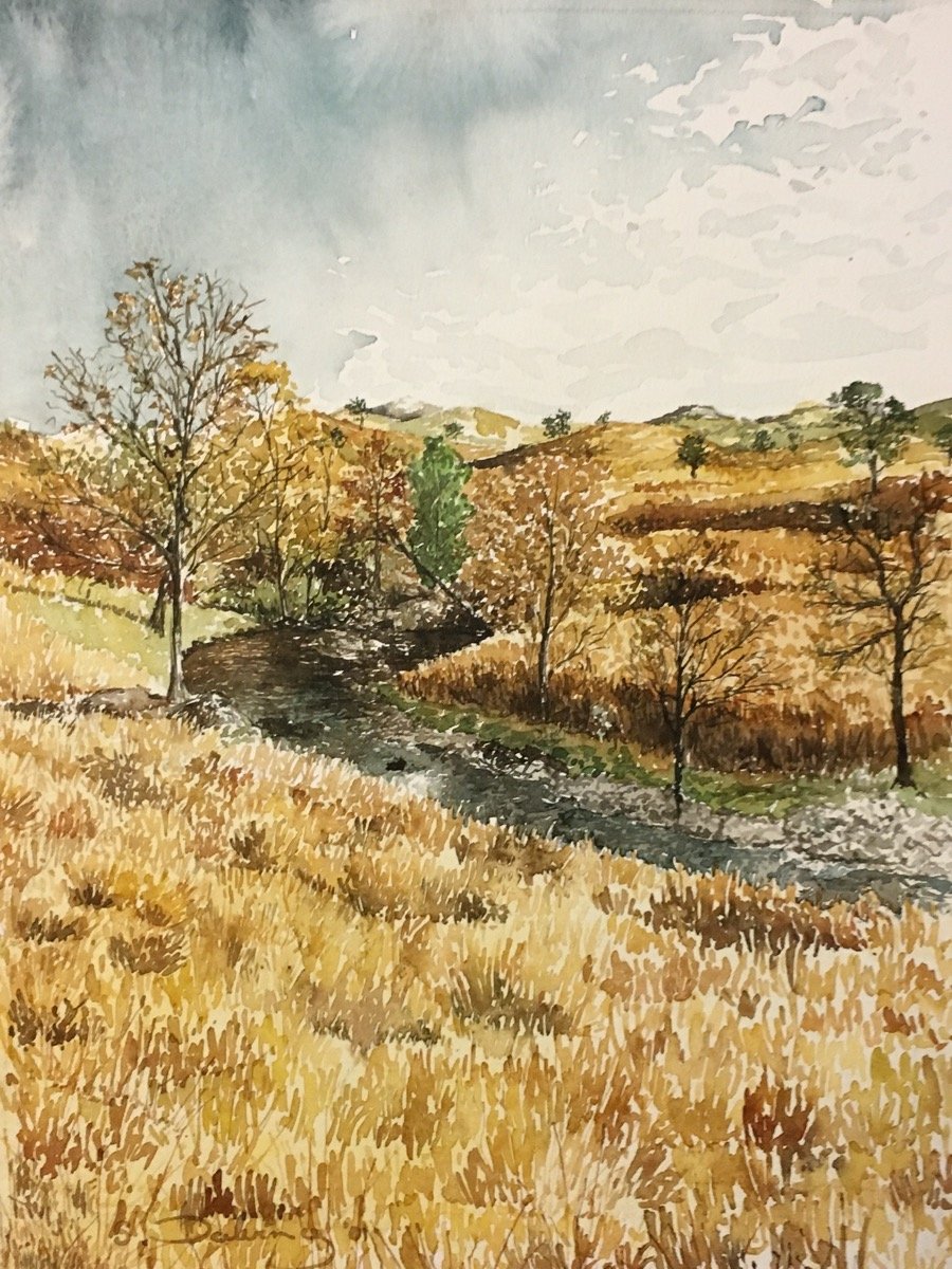 Fields of Gold • watercolour • 40x30cm