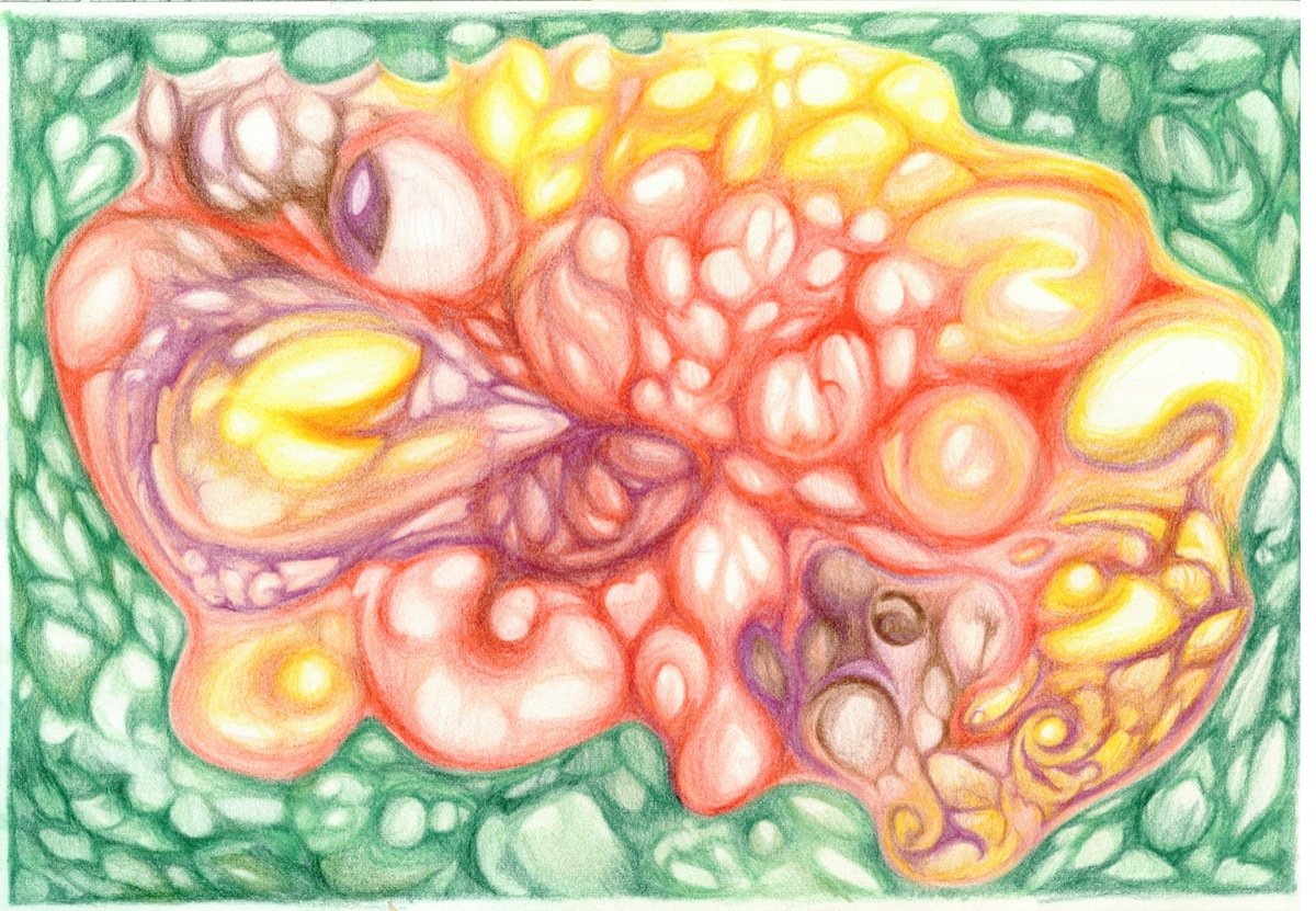 Organix • pencil • 18x26cm