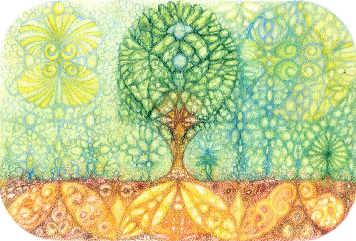 Living Nature • pencil • 26x36cm
