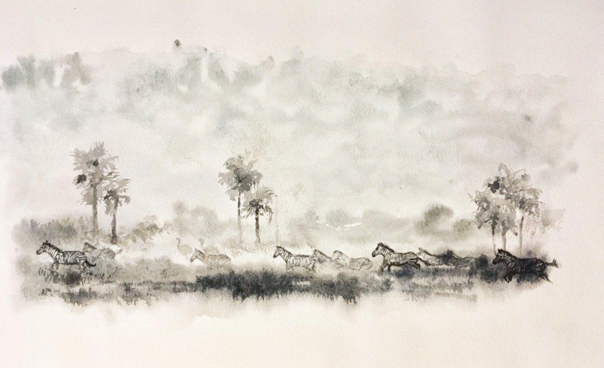 Zebra tropics • watercolour • 28x35cm