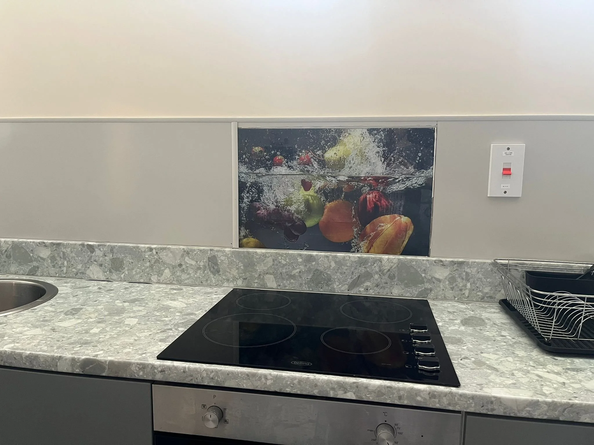 Oven and Hobs