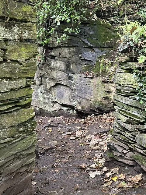 image8.jpeg