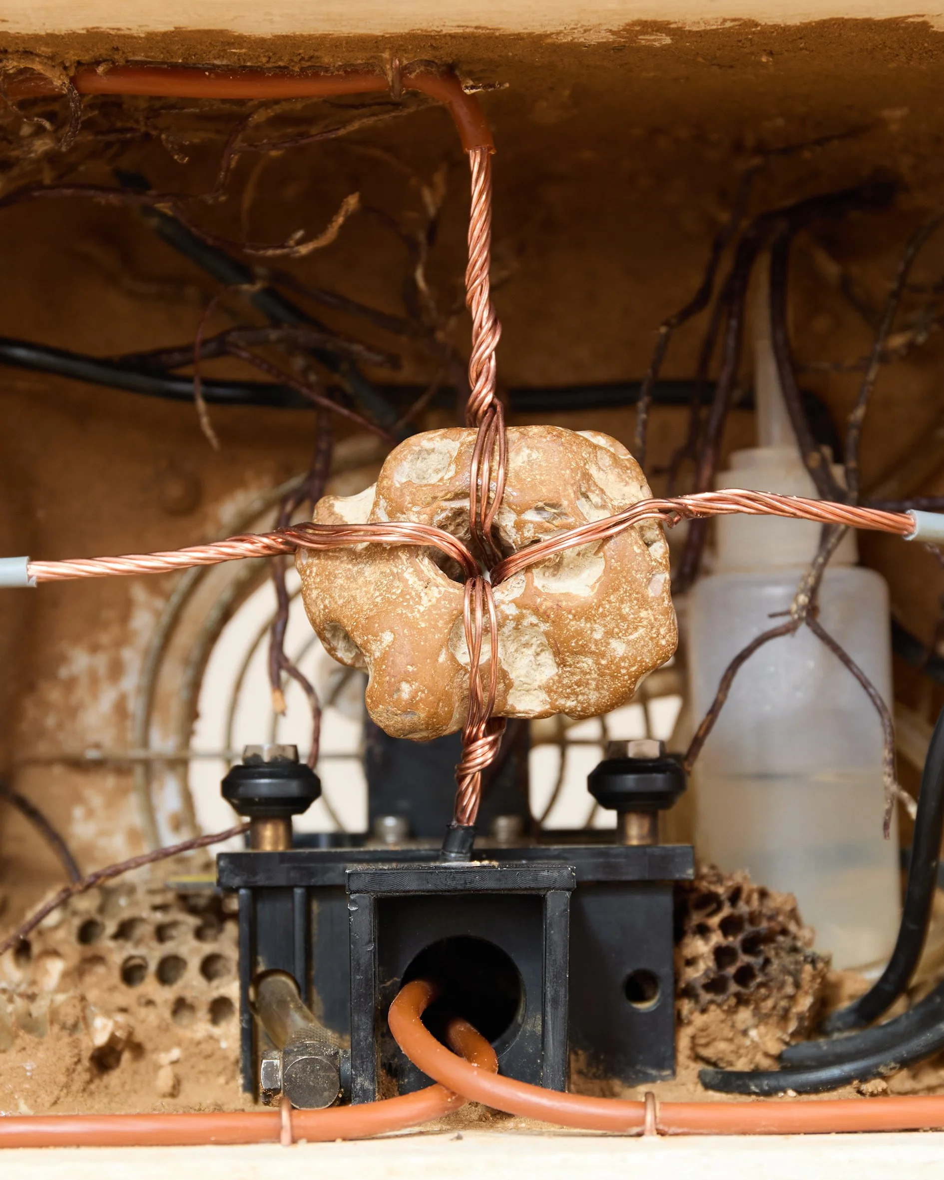 Helical Seeker Sculpture IG Post - 04 copy.jpg