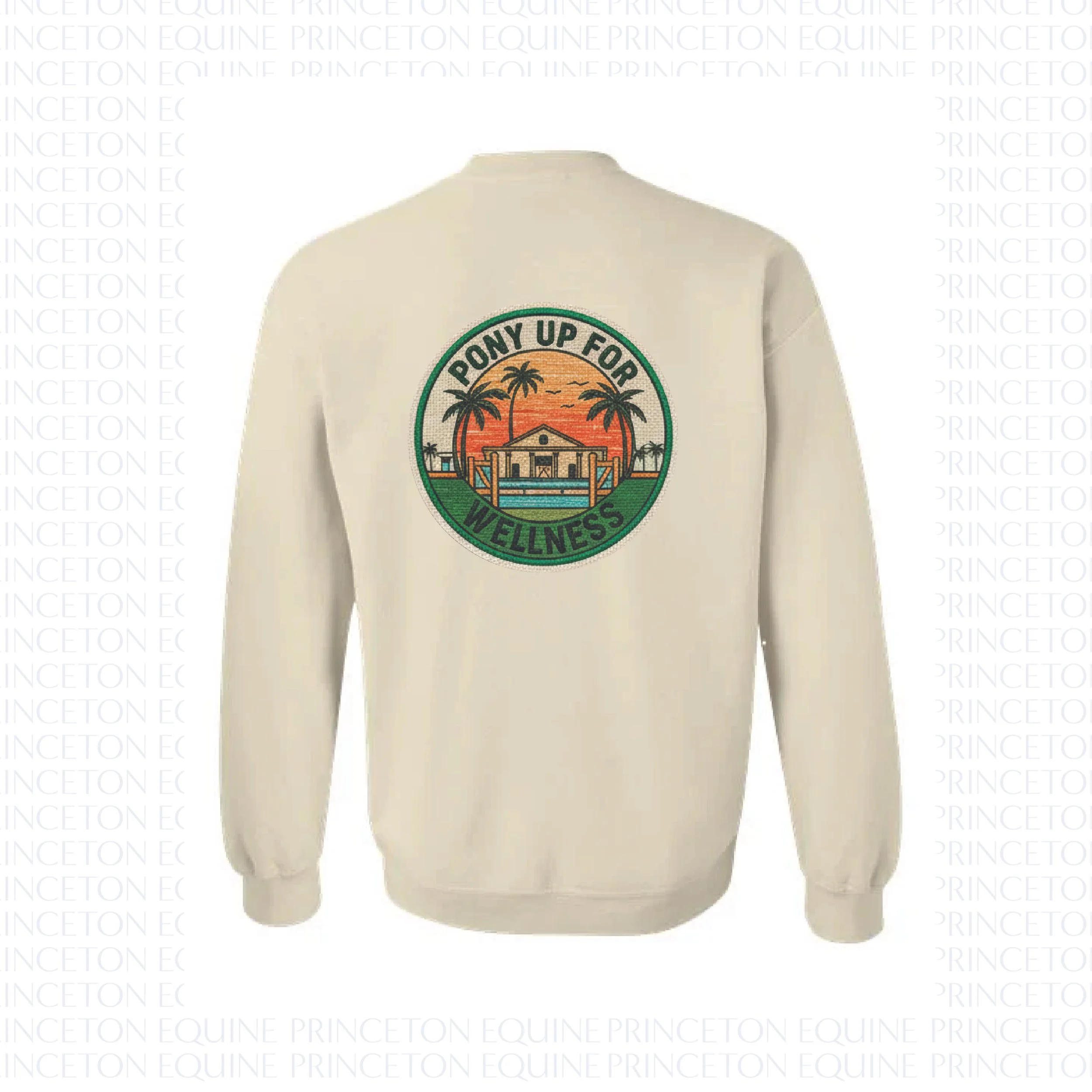 SWEATSHIRT_PONYUPFORWELLNESS1-05.jpg