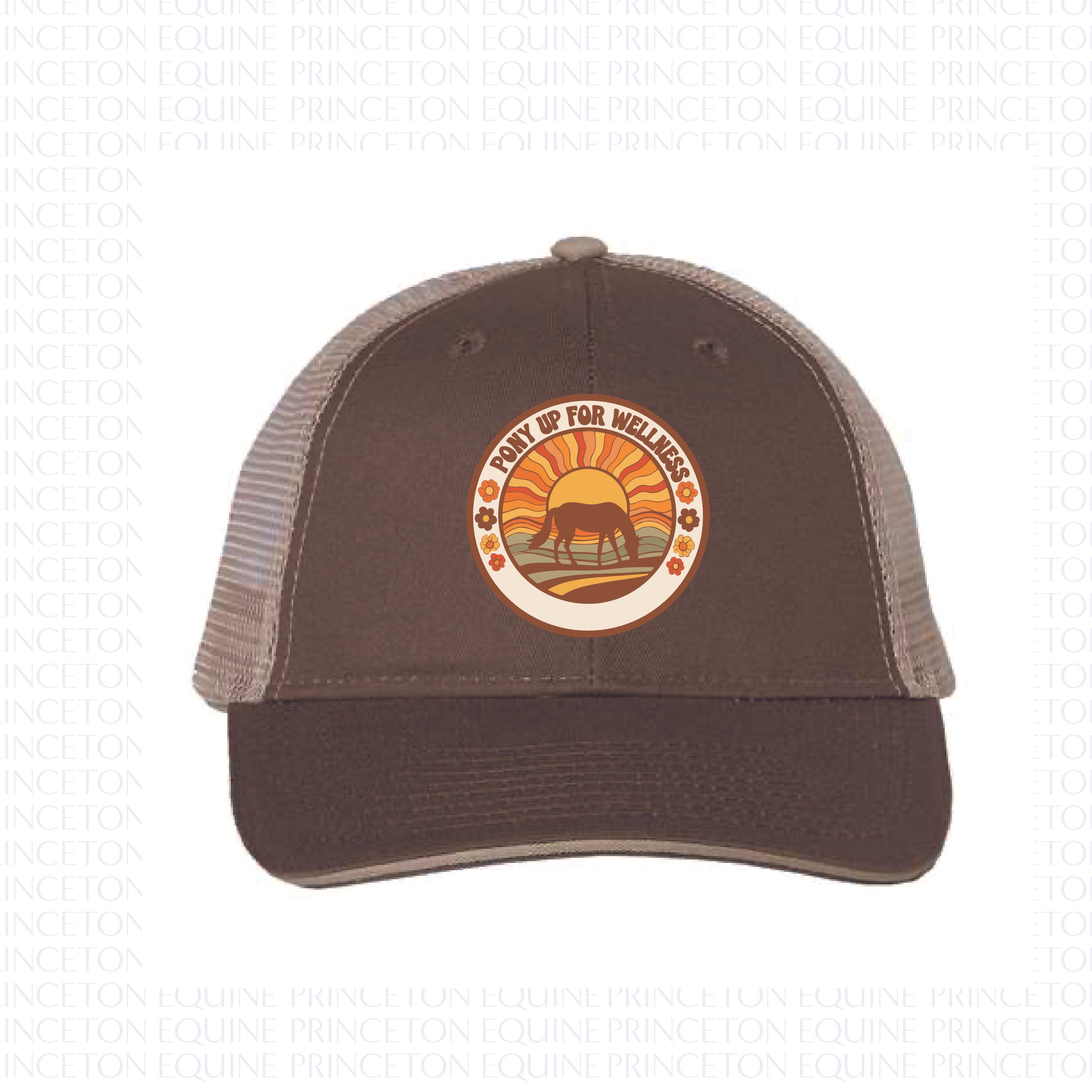 PONY UP FOR WELLNESS BROWN HAT