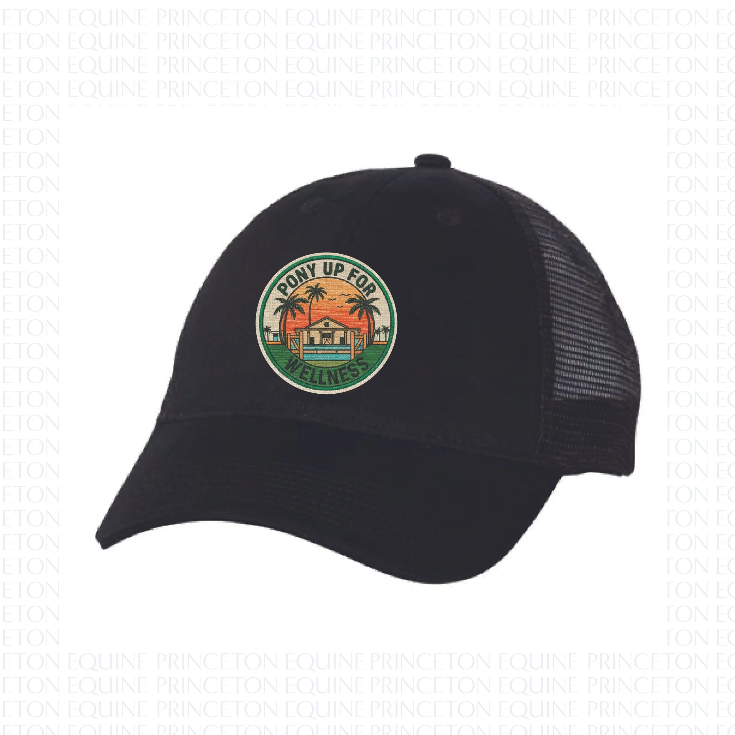PONY UP FOR WELLNESS HAT