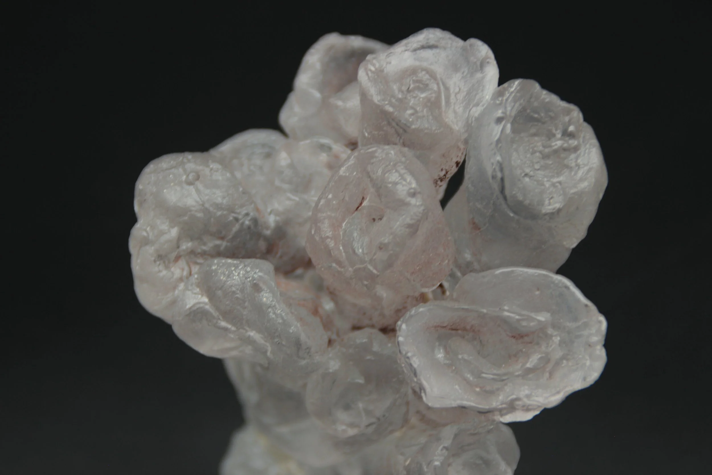 detail of family dynamics by Rike Sievert