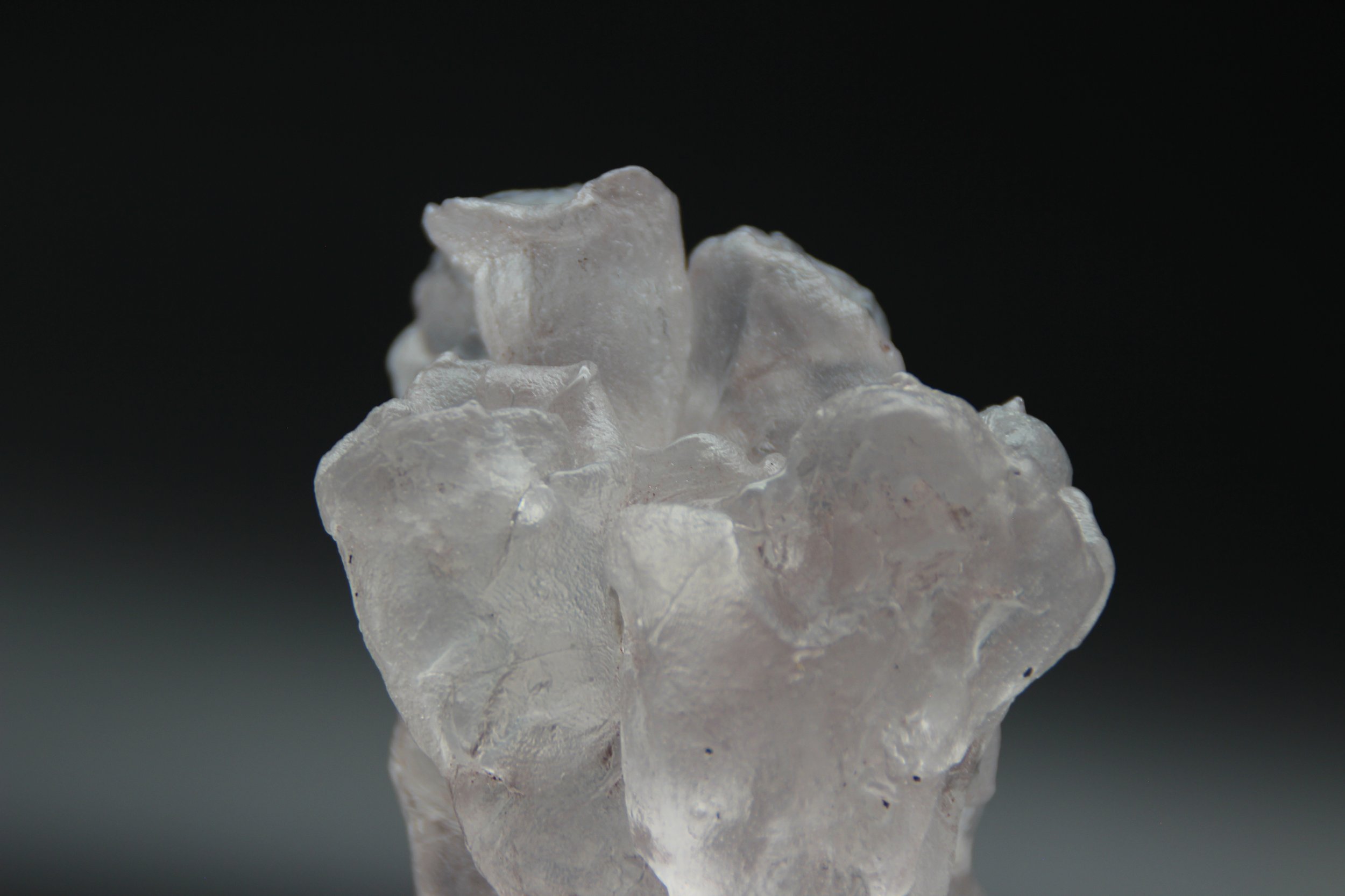 detail of family dynamics by Rike Sievert