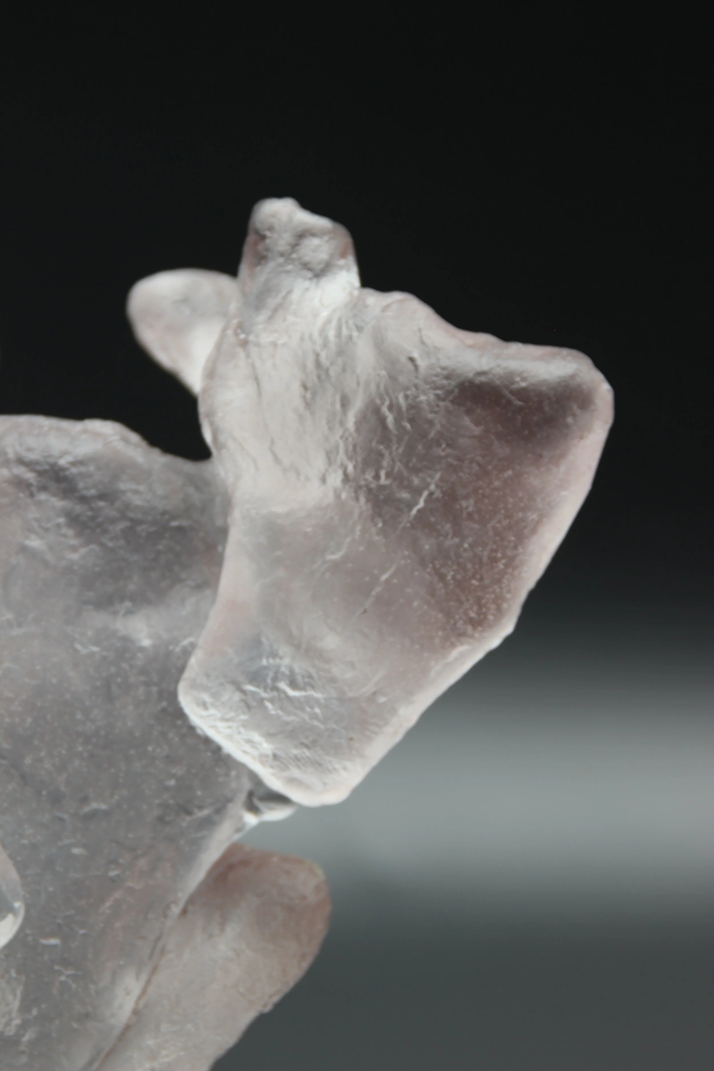 detail of family dynamics by Rike Sievert