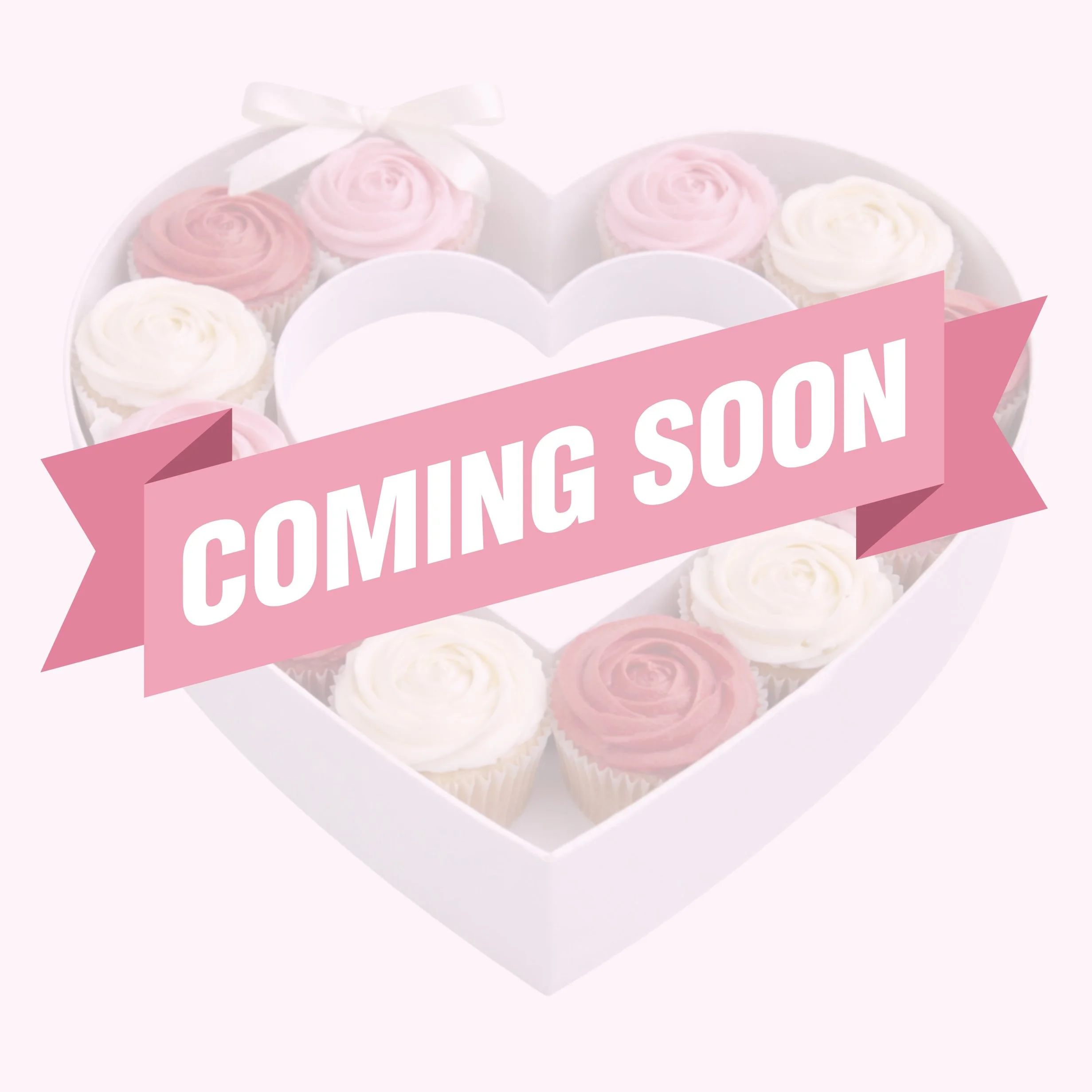 Valentine Cupcake Workshop