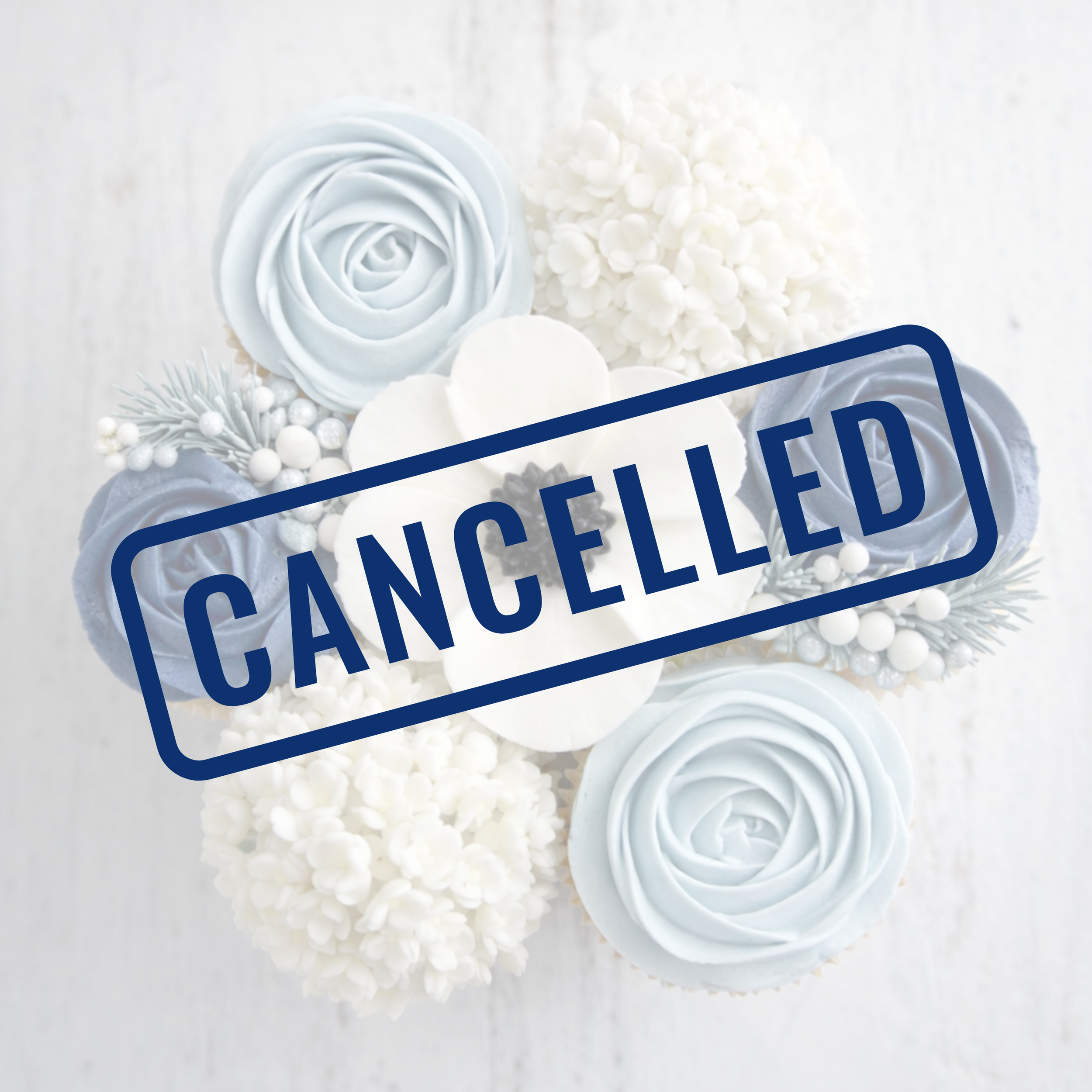 Winter Cupcake Workshop