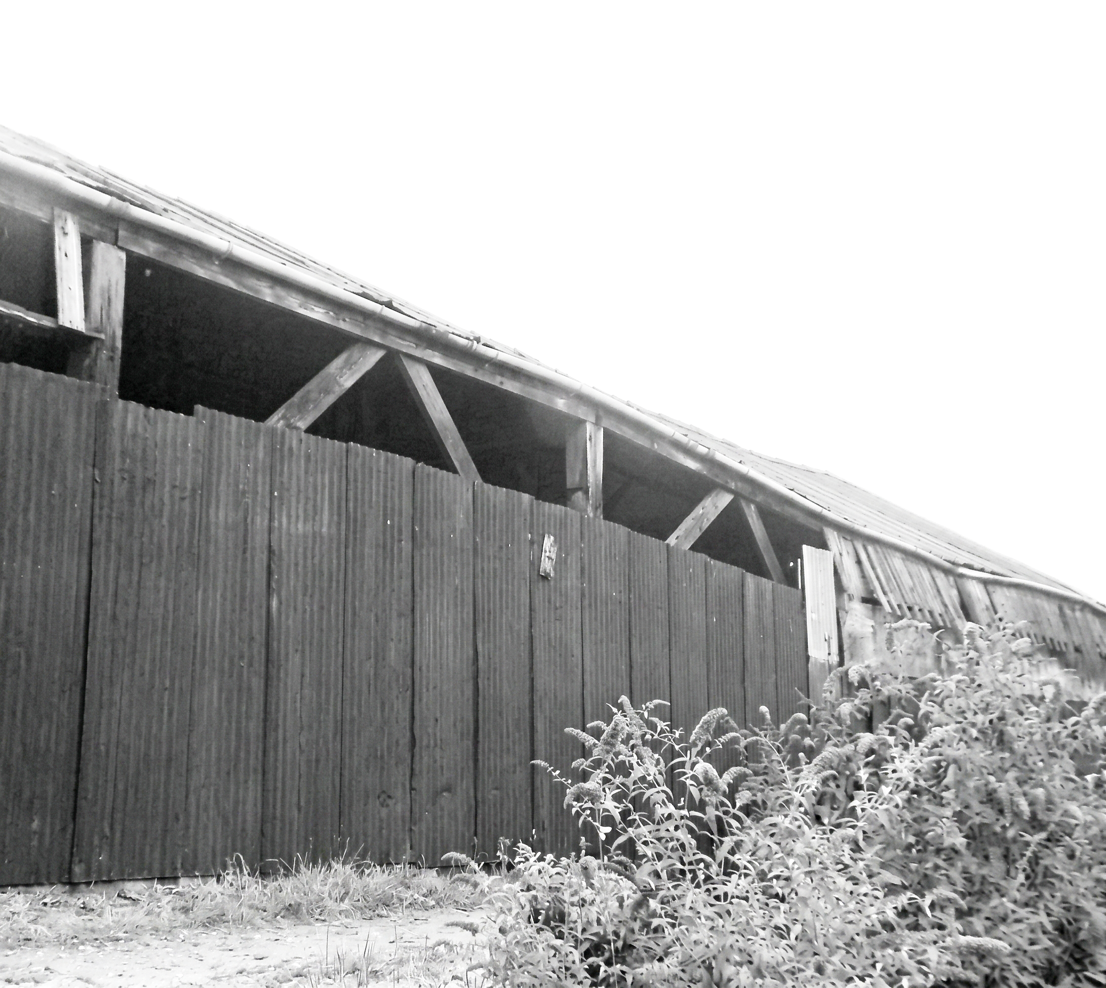 Timber frame structure