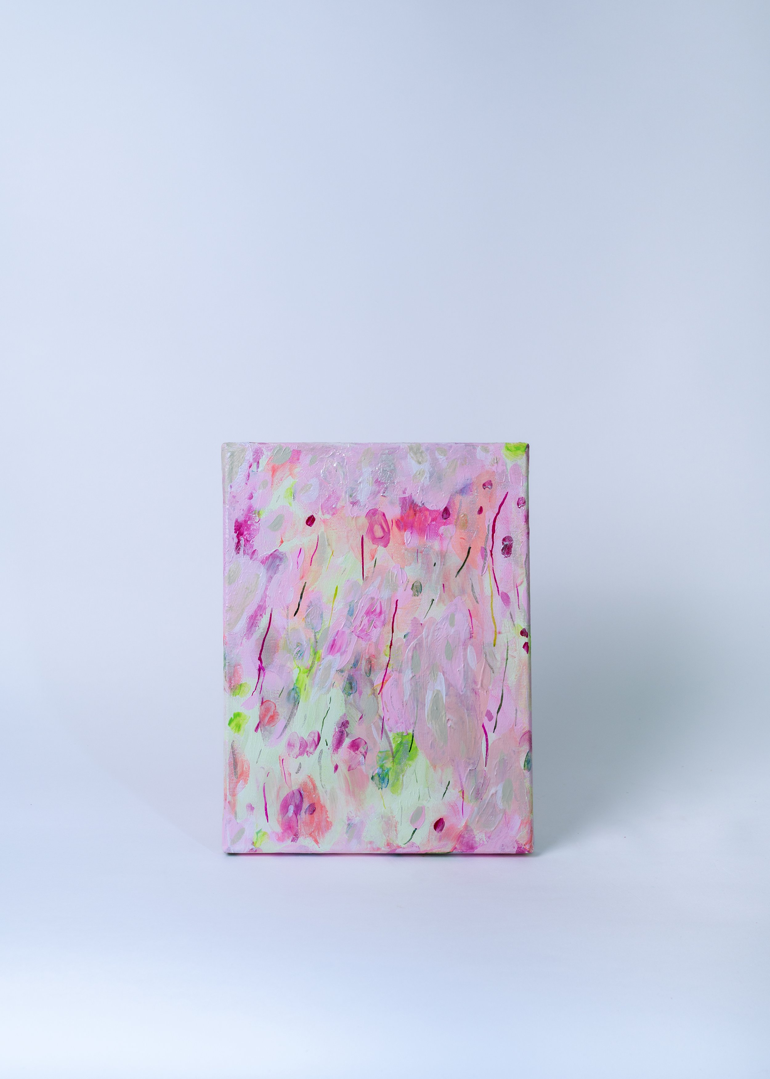 20250529_camille romagnani packshot-0761777.jpg