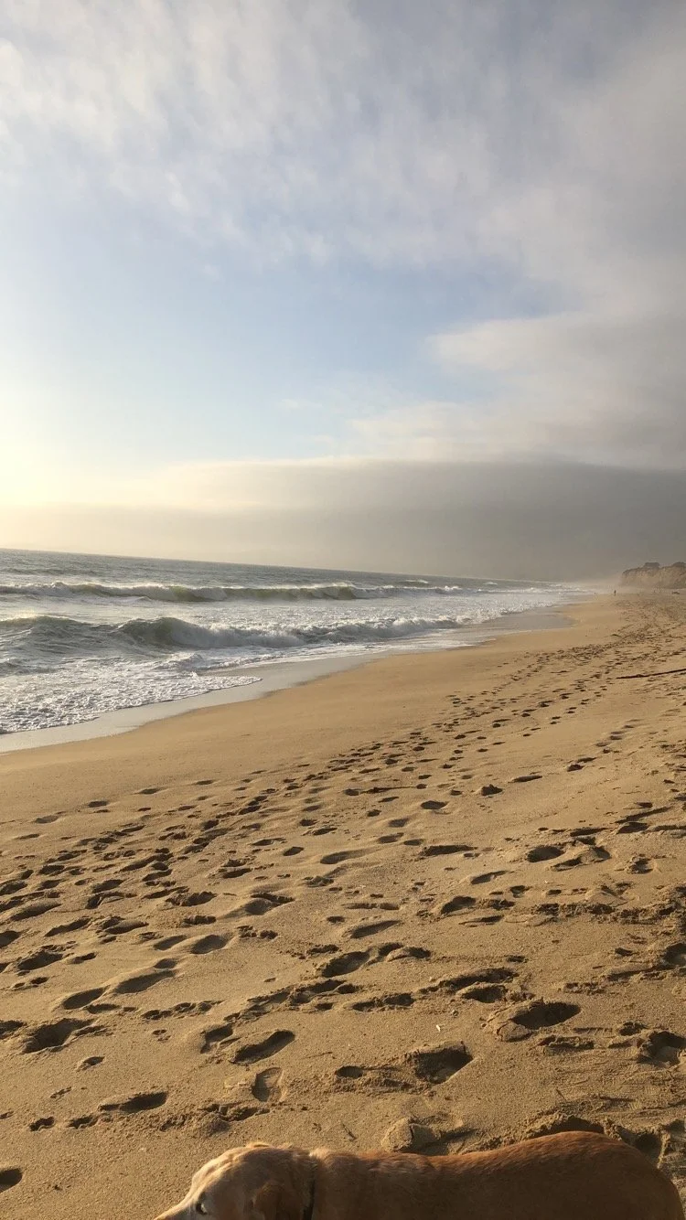 The Ocean on the East Cost