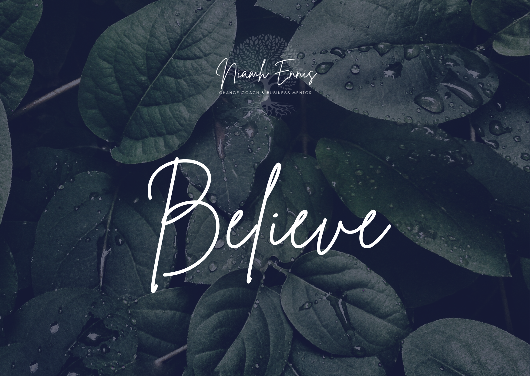 A close-up of green leaves with water droplets, with overlaid text saying 'Niamh Ennis' and 'Change Coach & Business Mentor' at the top, and 'Believe' in large white cursive font in the center.