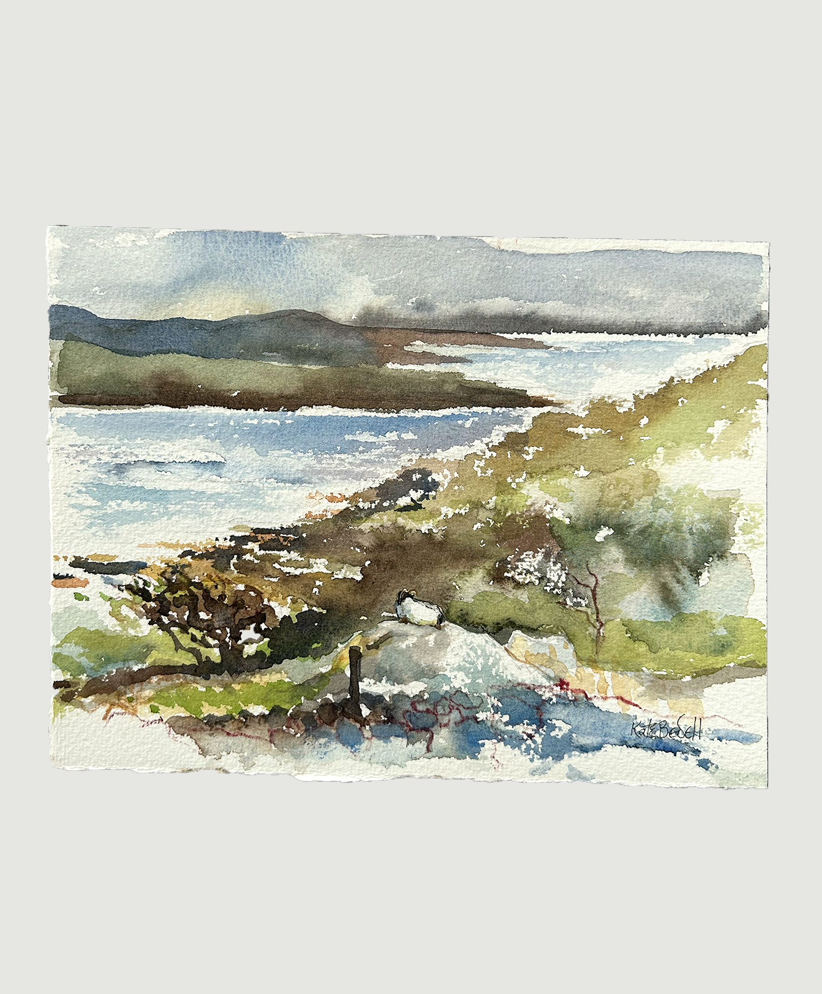 resting sheep simple.png