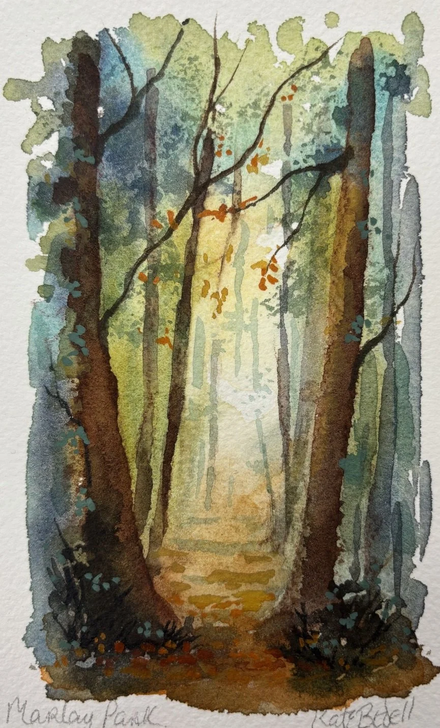 Woodland Light, Marlay Park Kate Bedell web.jpg