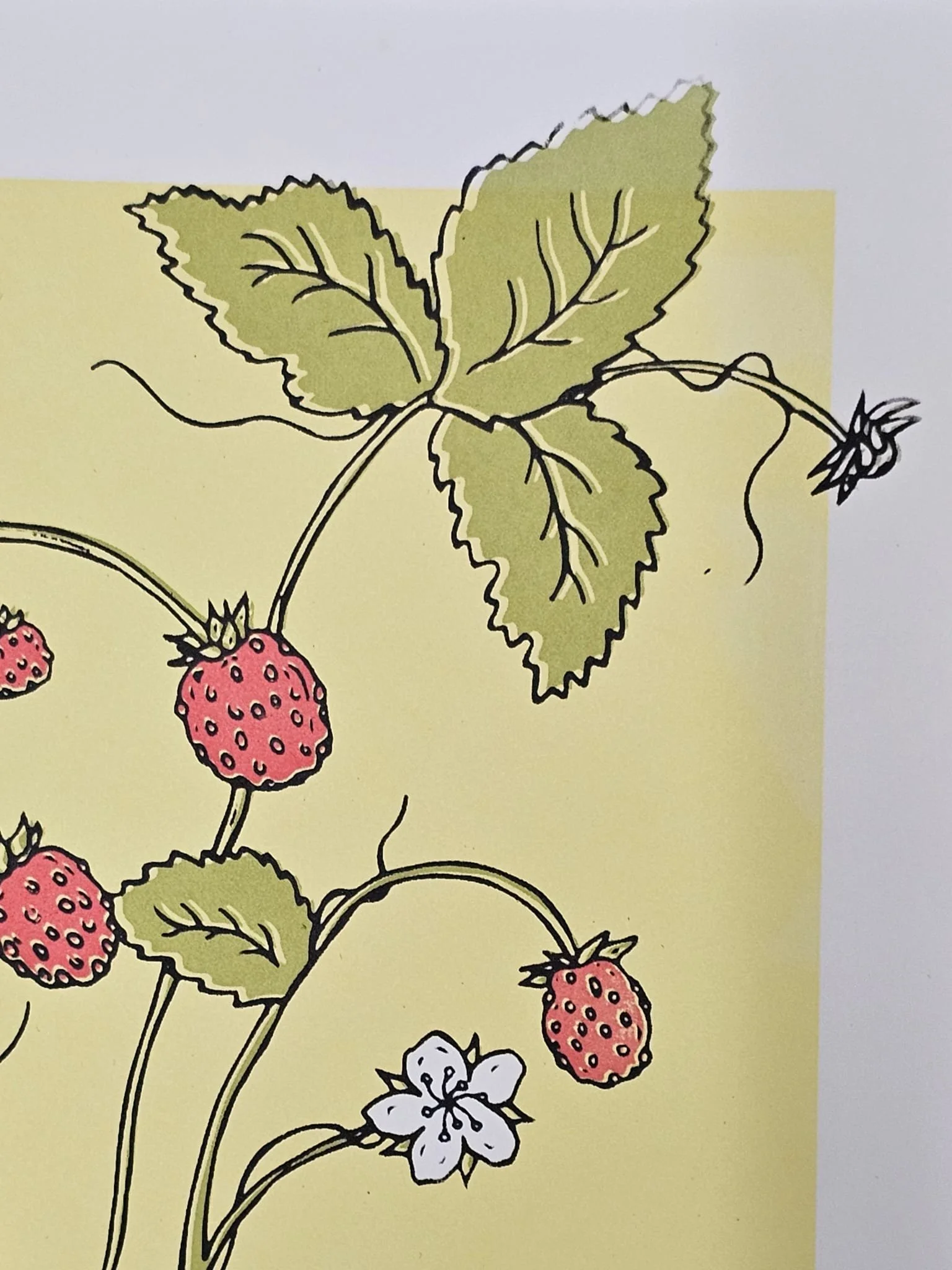 WhatsApp Image 2025-12-08 at 18.04.16_ebc6faa2.jpg