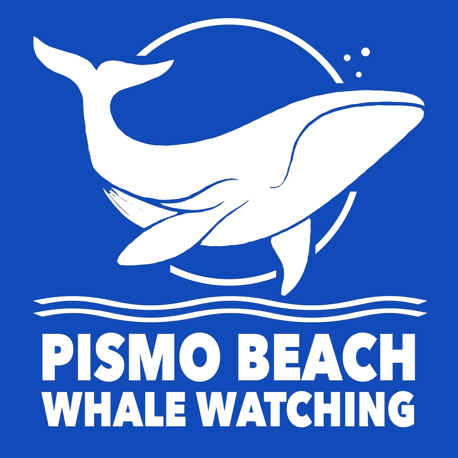 Pismo Beach Whale Watching