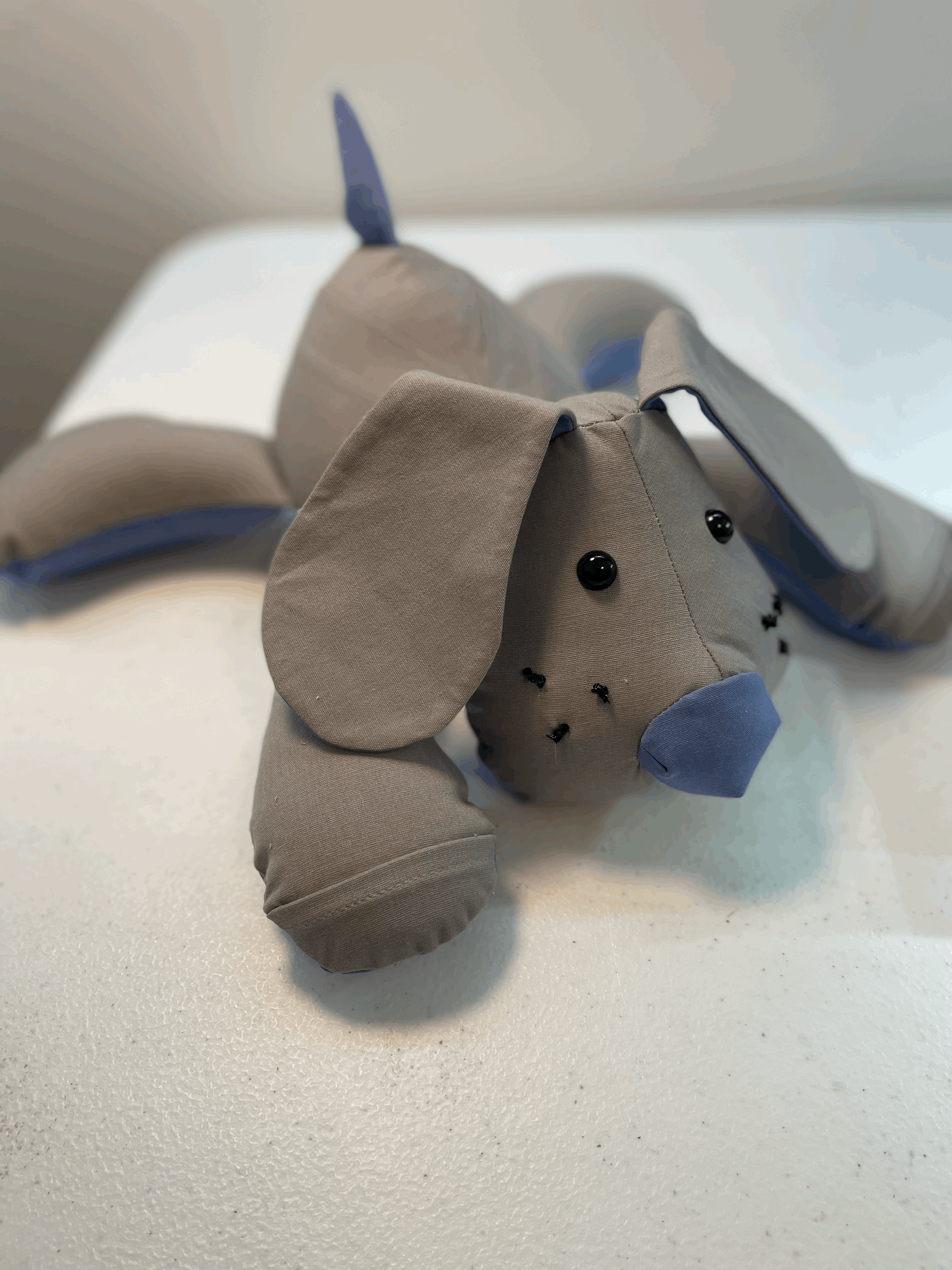 tempImageGLVsIo.gif