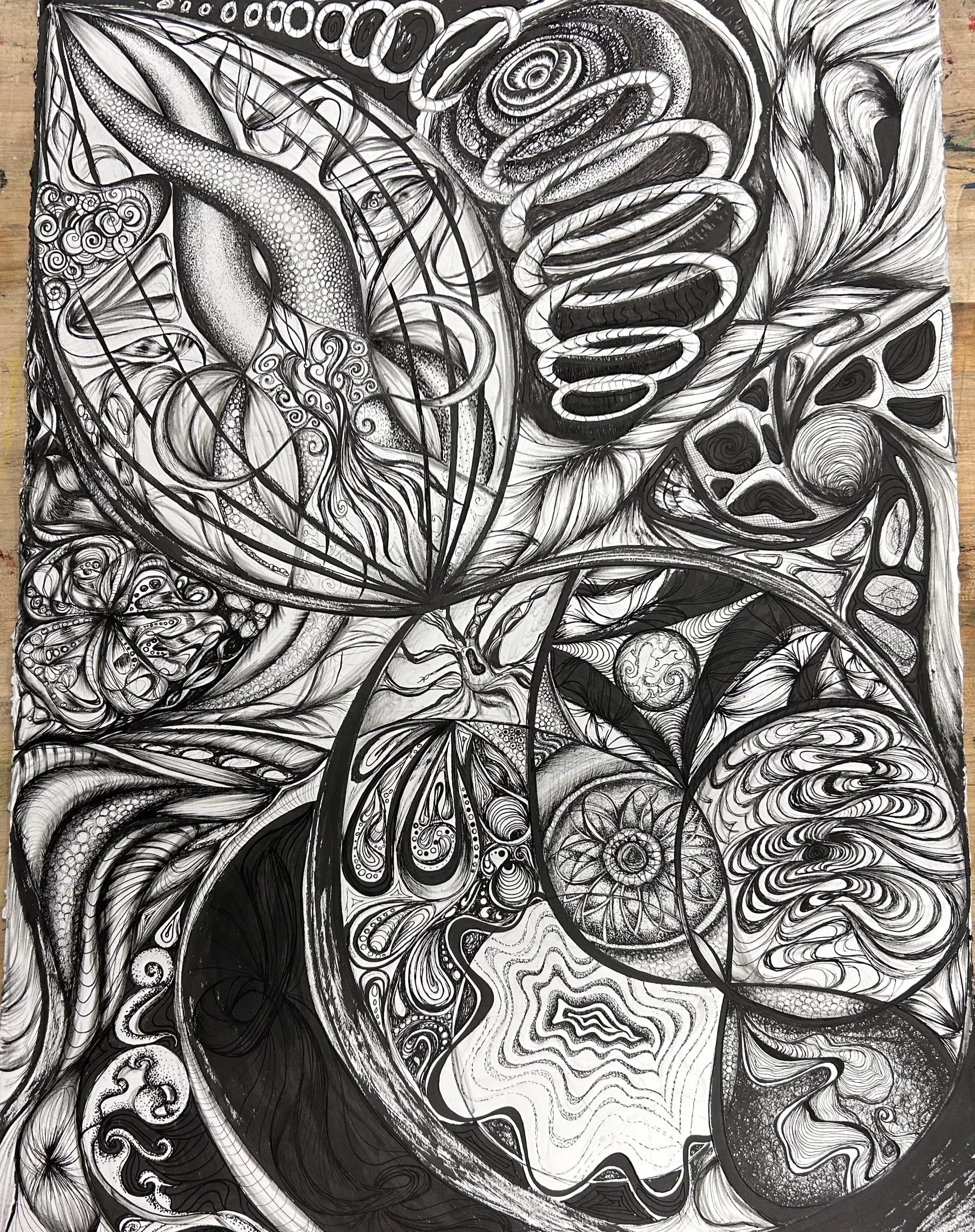 Title: "Infinite Energy".
Date: January 2025.
Size: 22x30”.
Medium: Micropens on Stonhedge paper
Description: Captures infinite femininity, taking inspiration from natural organisms.