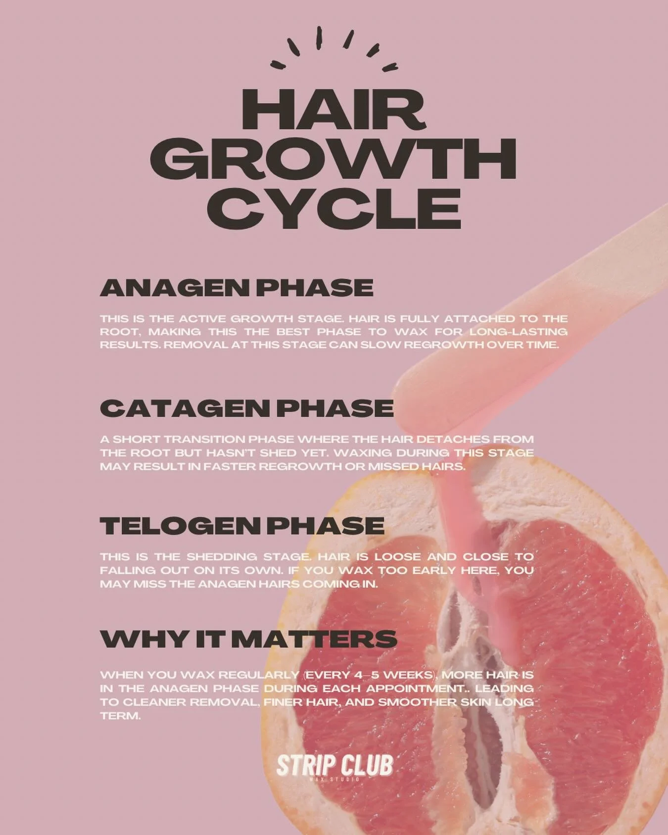 Let&rsquo;s talk hair growth cycles 🔁⭐️🪄

Understanding how hair grows is the secret to better waxing results and smoother regrowth. Consistency matters more than anything!

📌 Located in downtown Franklin, IN
💌 Booking link in bio

brazilian wax 