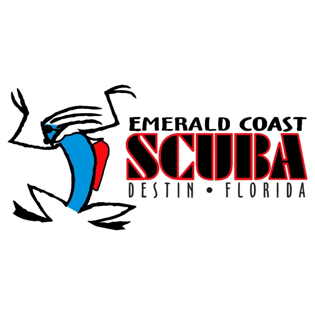 CES INSTAGRAM FILES.jpg