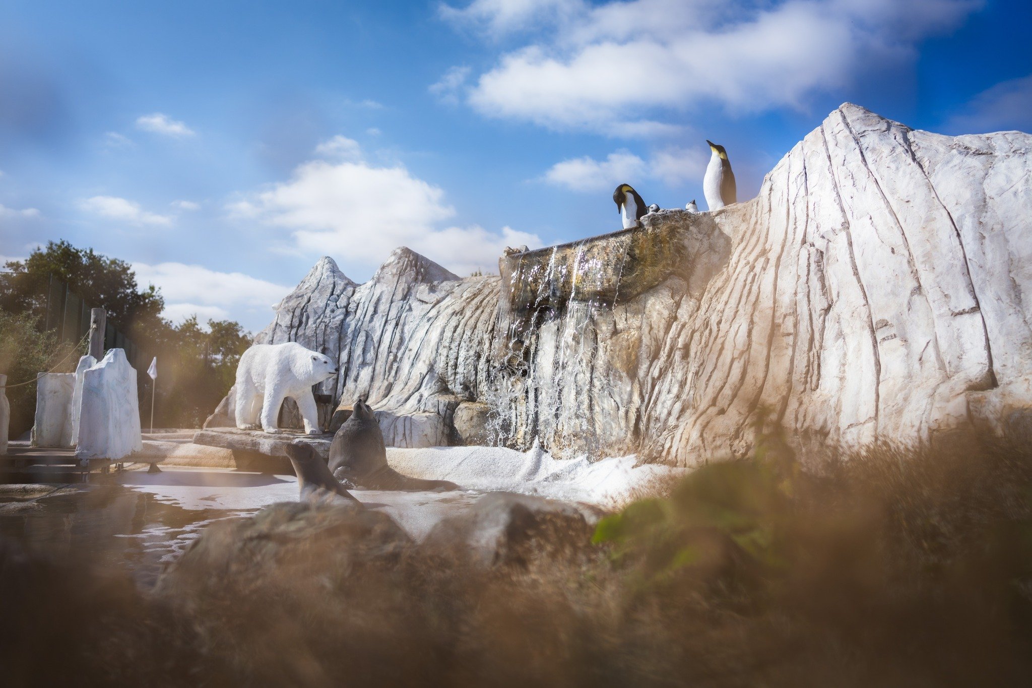Cosy up with some mini-golf fun at Noah&rsquo;s Park Adventure Golf! 🧣

Bringing friends or family? Our course is the perfect spot for a little seasonal fun. ⛳️

#CozyGolf #FamilyFun #NoahsPark #WinterMagic