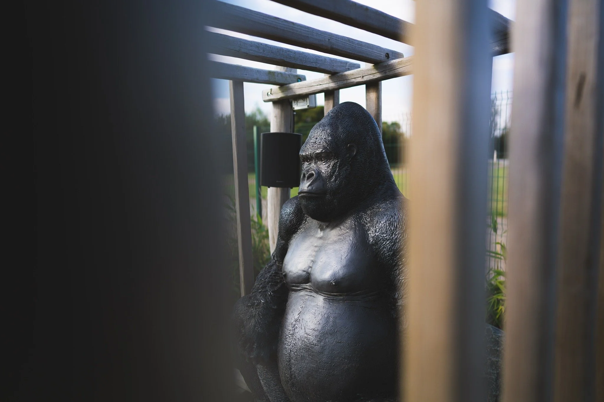 Even in winter, the fun never stops at Noah&rsquo;s Park Adventure Golf! 

 Come enjoy our challenging course and cosy atmosphere.

#WinterFun #GolfMagic #DailyAdventure #NoahsPark