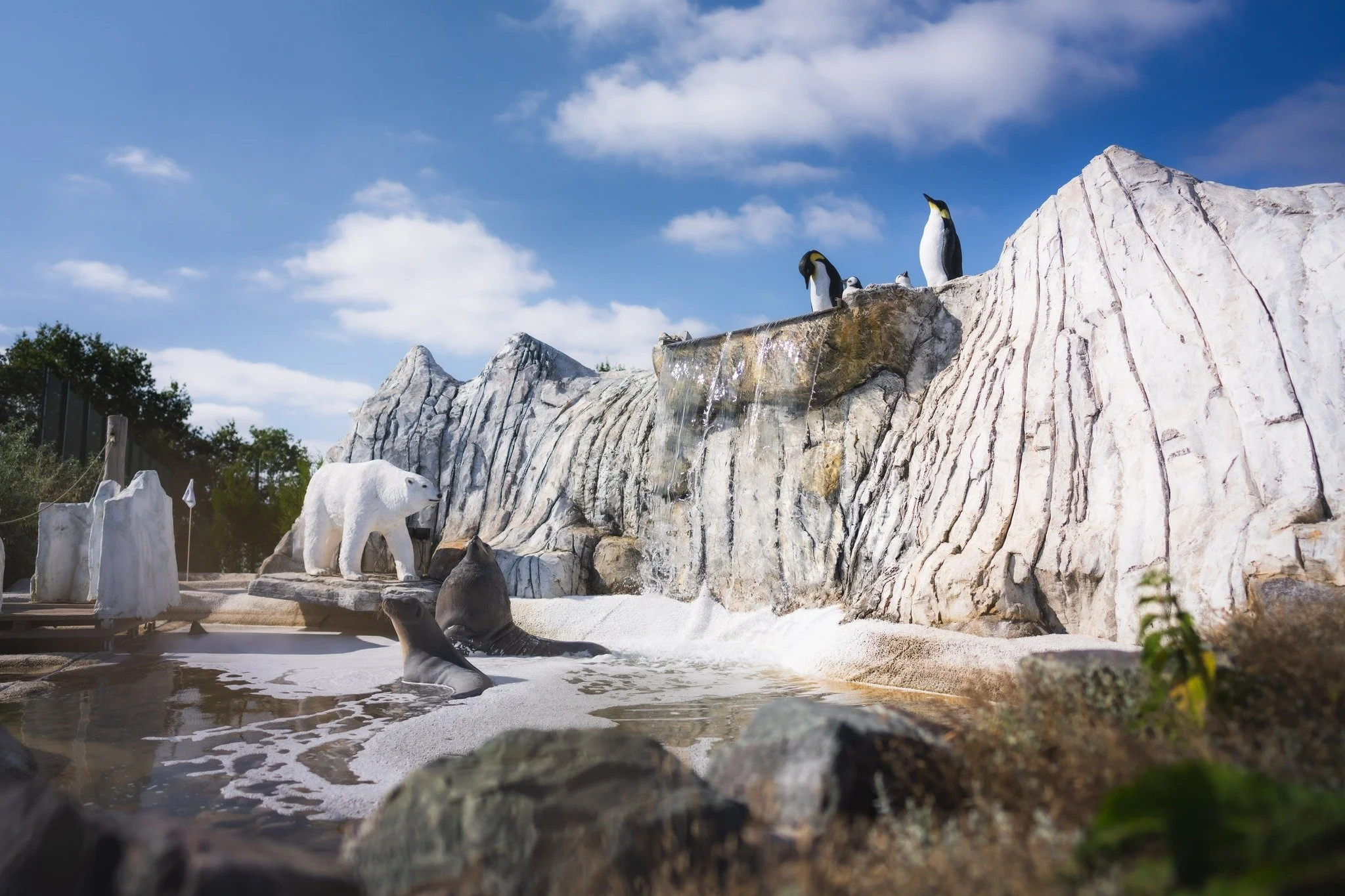 Beat the winter blues with a fun-filled day of mini-golf at Noah&rsquo;s Park Adventure Golf! 

🌟 Perfect for family outings or a friendly challenge.

#WinterBlues #GolfAdventure #FamilyFun #NoahsPark