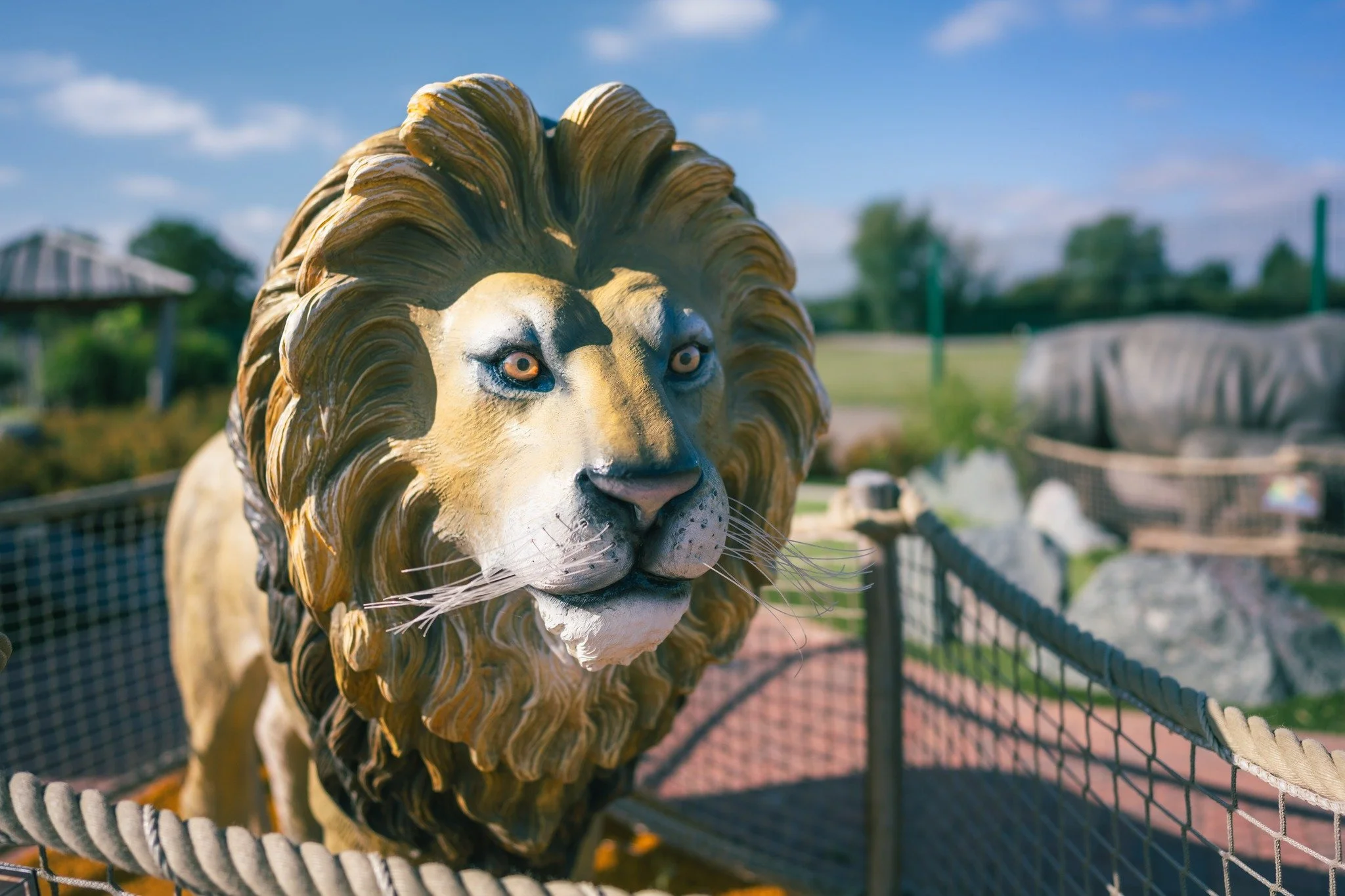 Celebrate the season with a round of mini-golf at Noah&rsquo;s Park Adventure Golf! 🏆

Even in winter, we&rsquo;re all about fun and excitement.

#WinterSeason #GolfChallenge #FamilyFun #NoahsPark