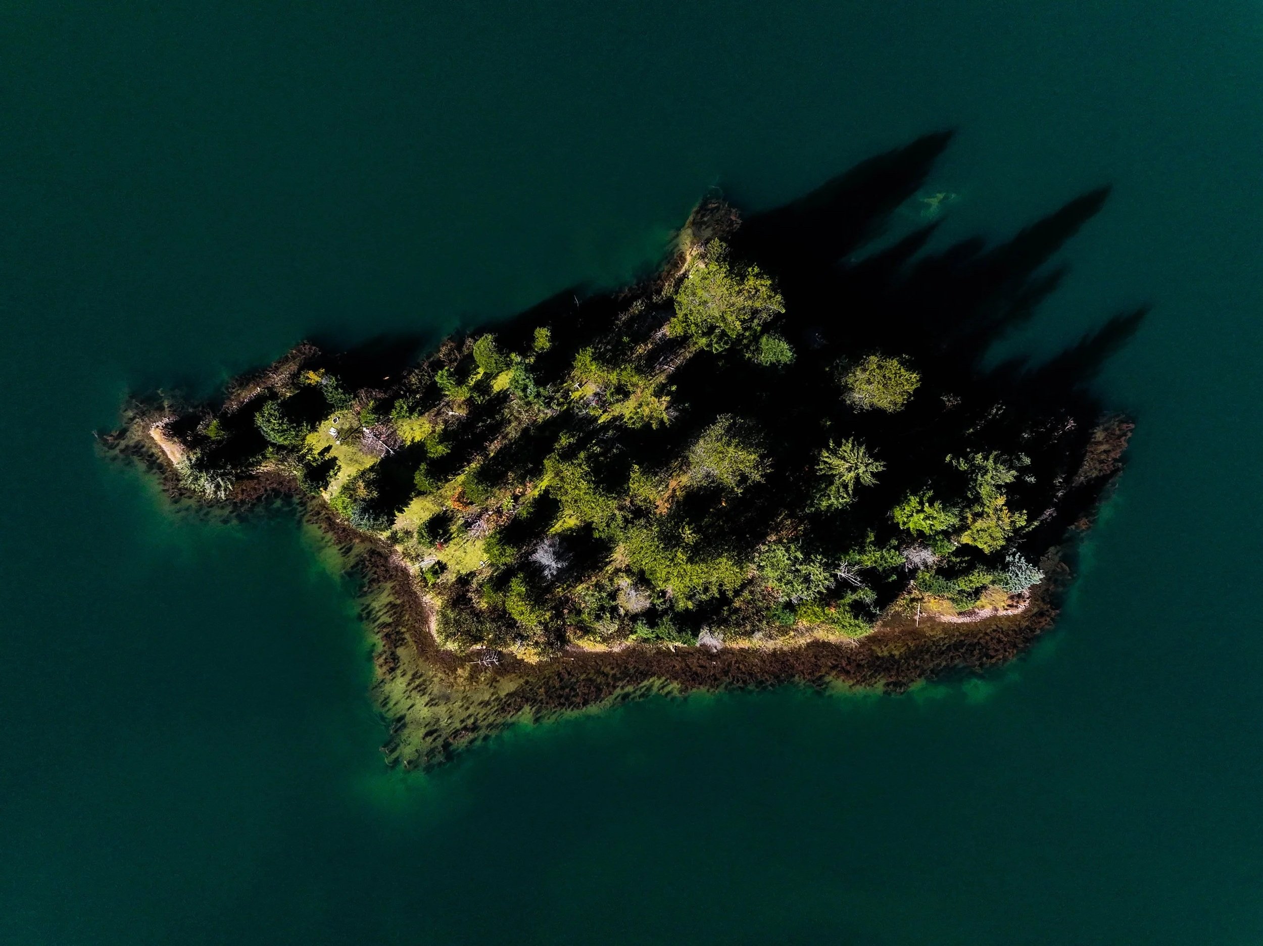 A small, tree-covered island in the middle of a body of water, with long shadows cast by the trees.