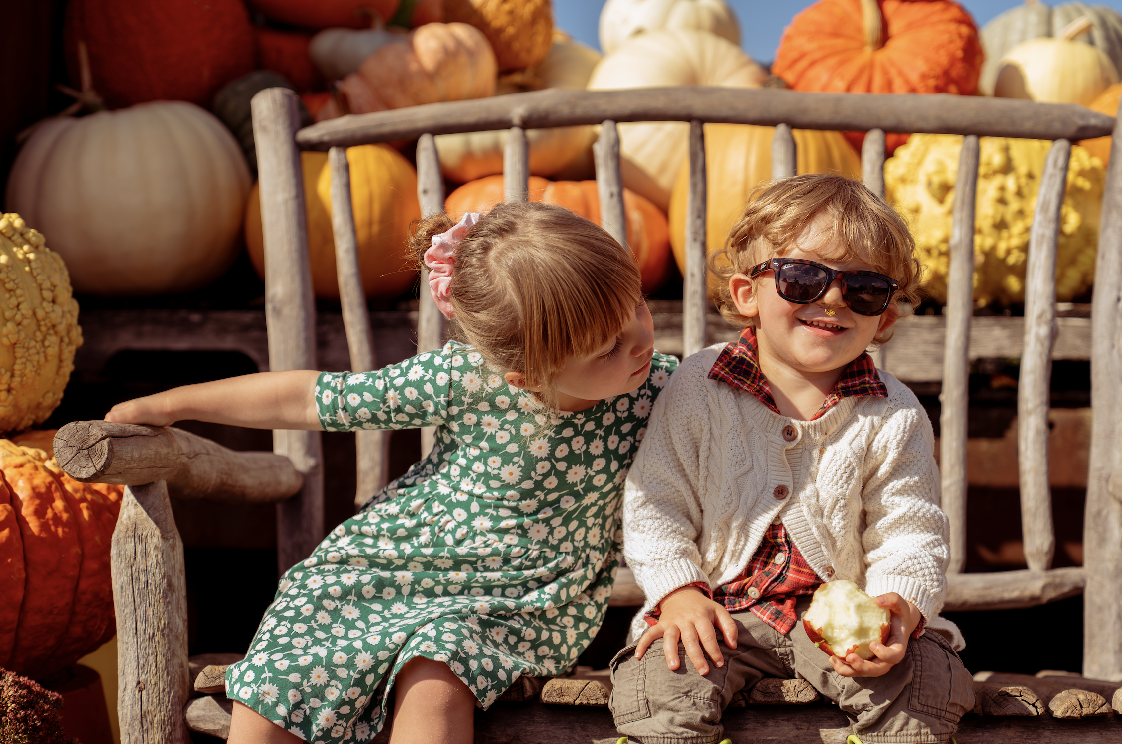 Screenshot 2025-11-12 at 8.23.00 PM.png