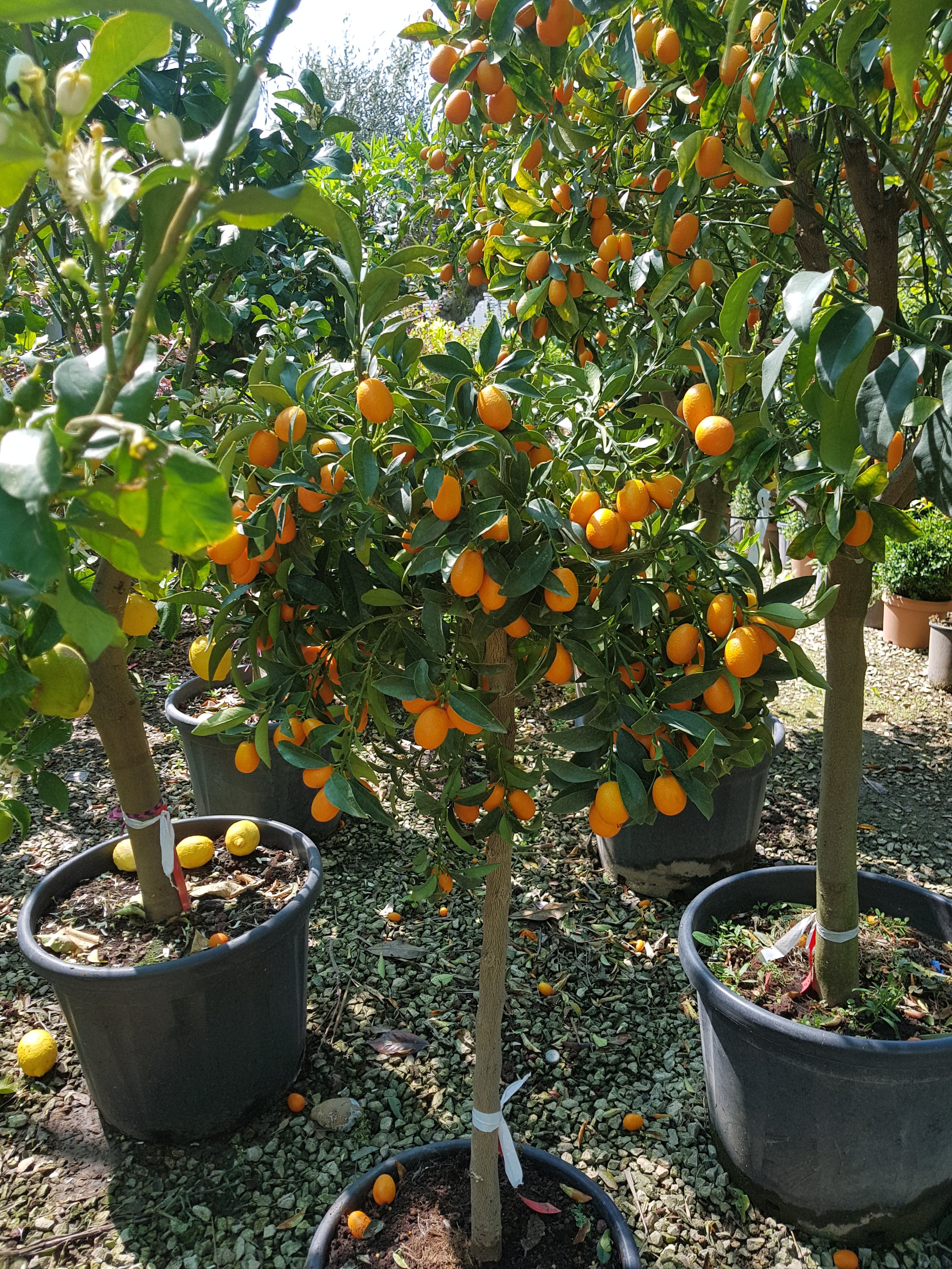 20180423_104638.jpg