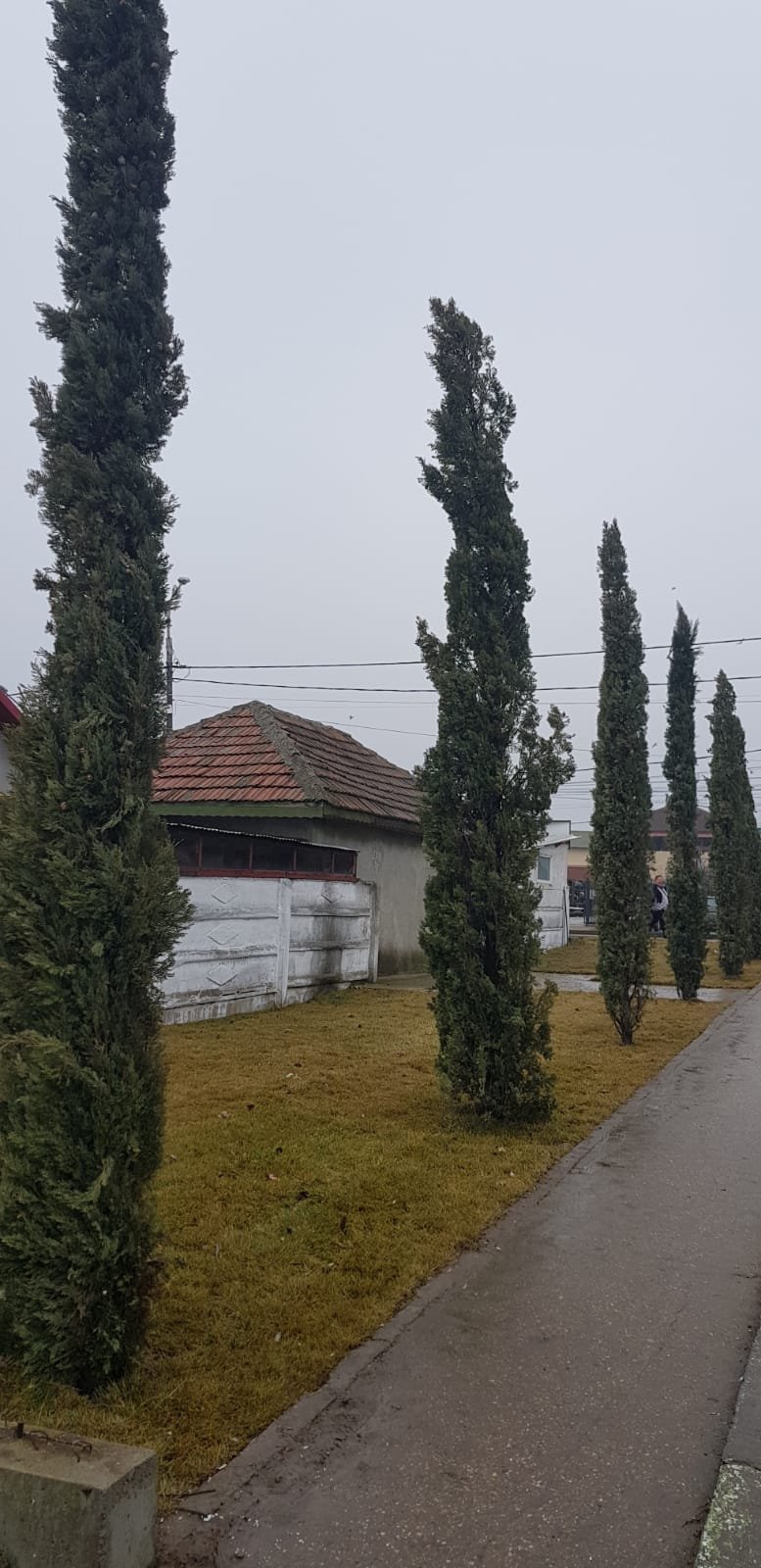 IMG-20190201-WA0001.jpg