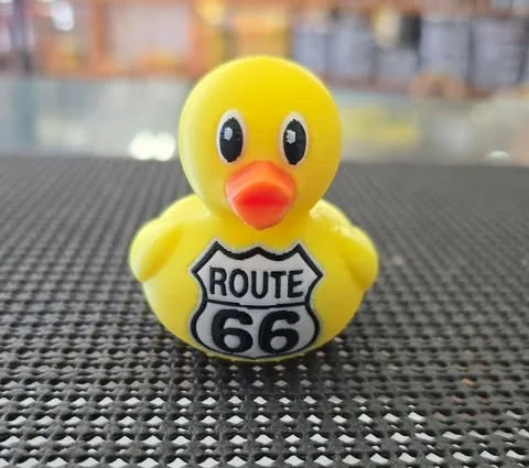 3-D Printed 66 Duck