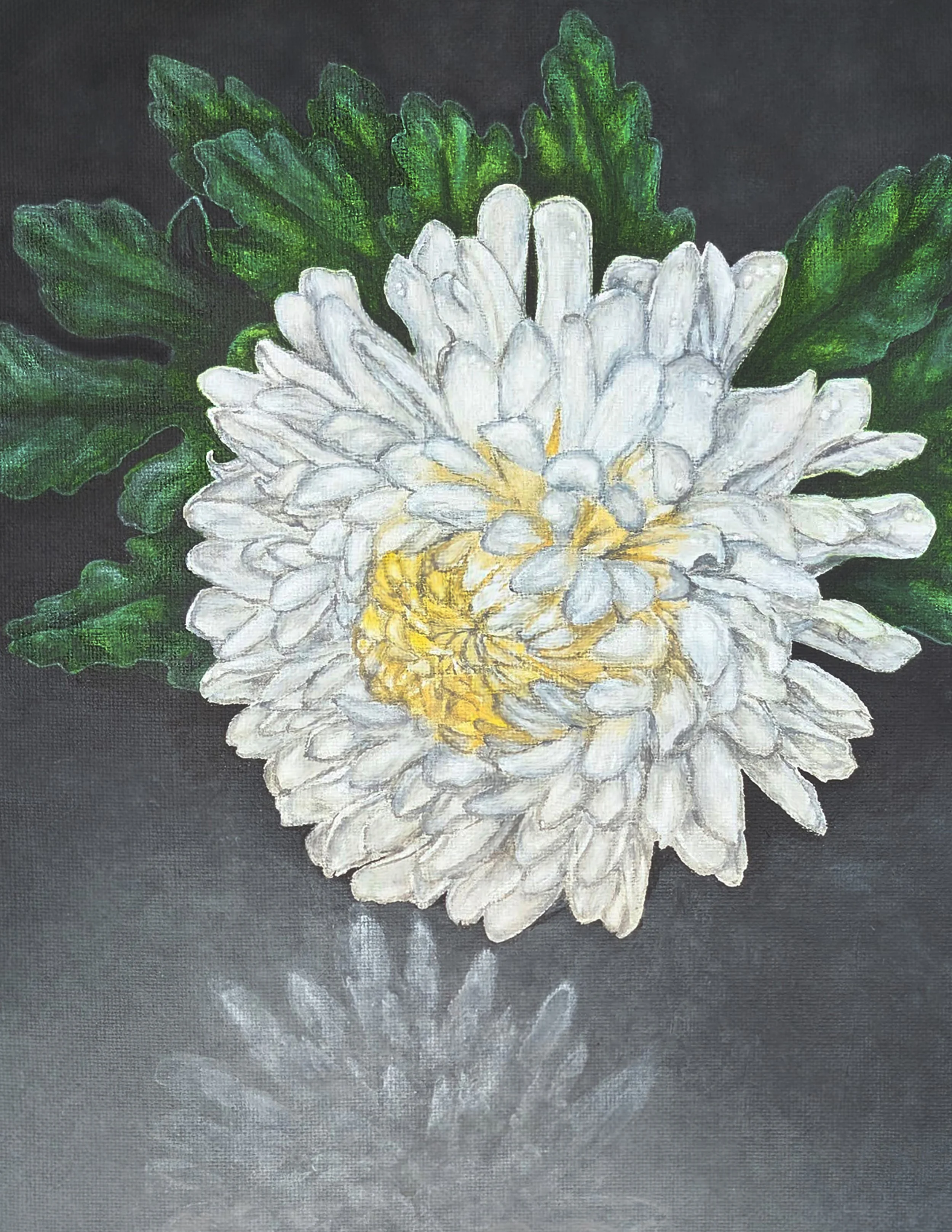 Chysanthemum 2022 Acrylic on Canvas by R. Lidle