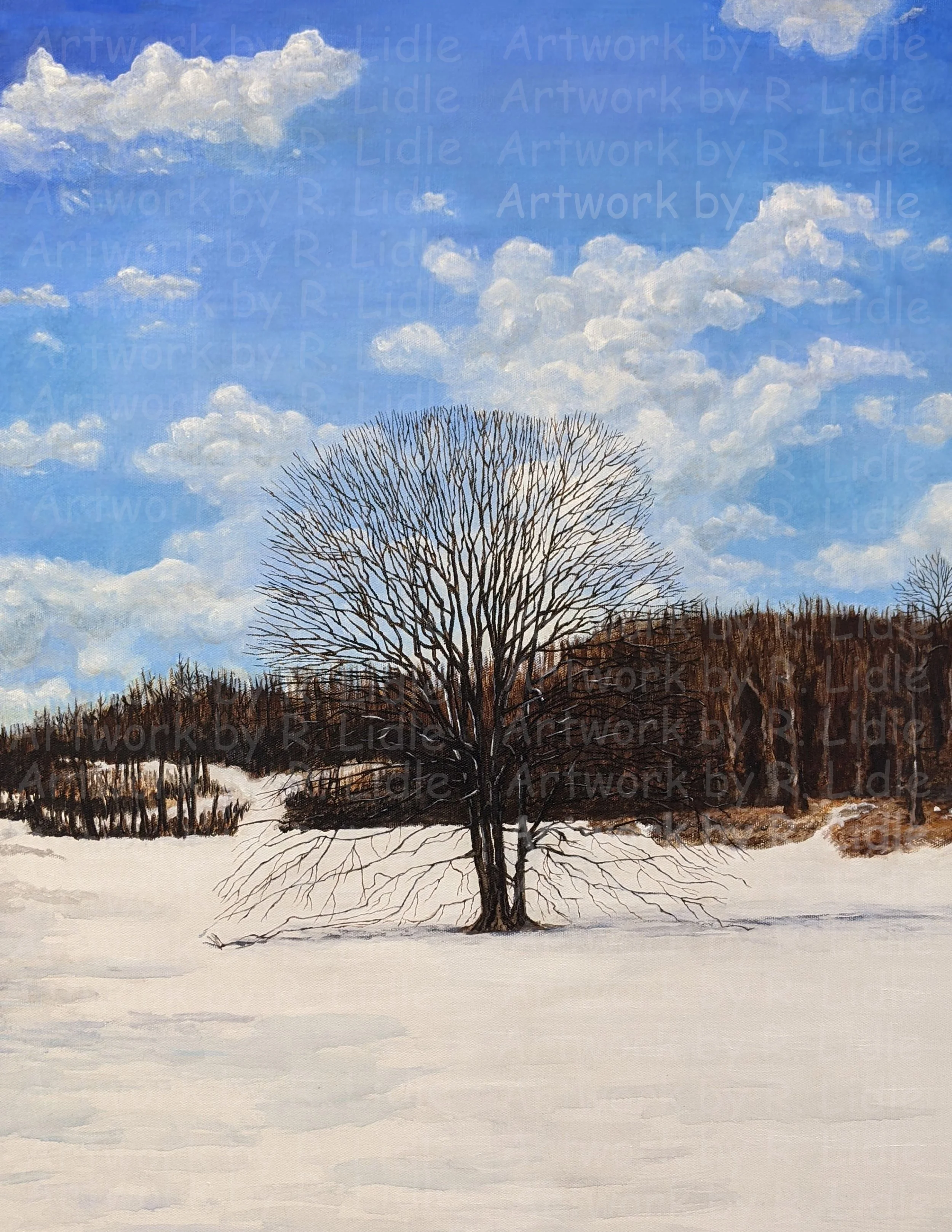Acrylic Paintings Available for Reprint