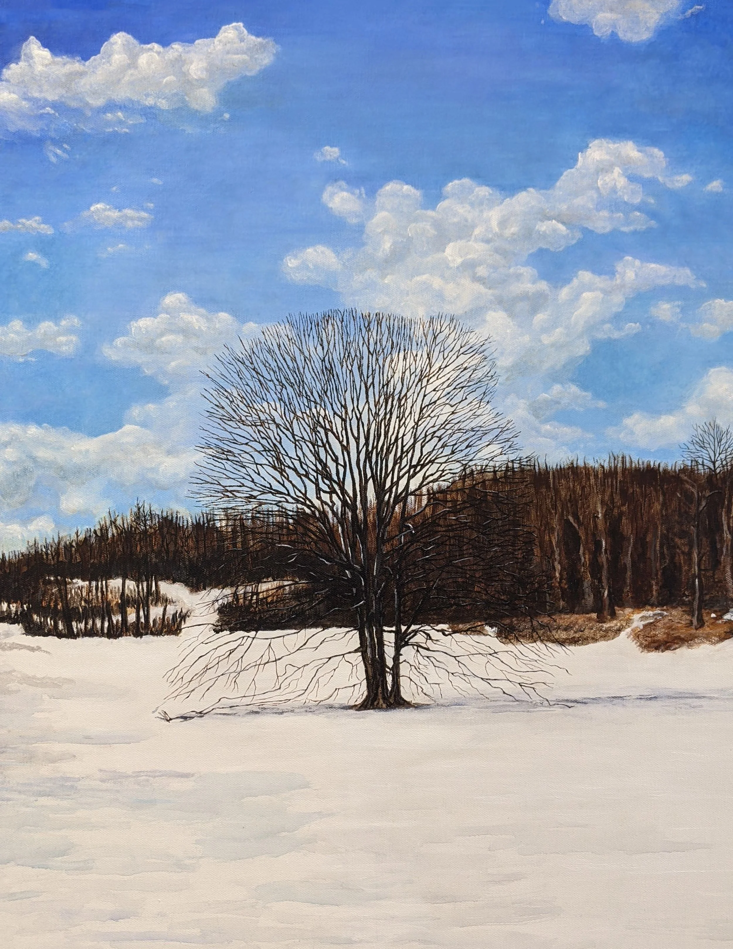 Caumsette Park 2021 Acrylic on Canvas by R. Lidle