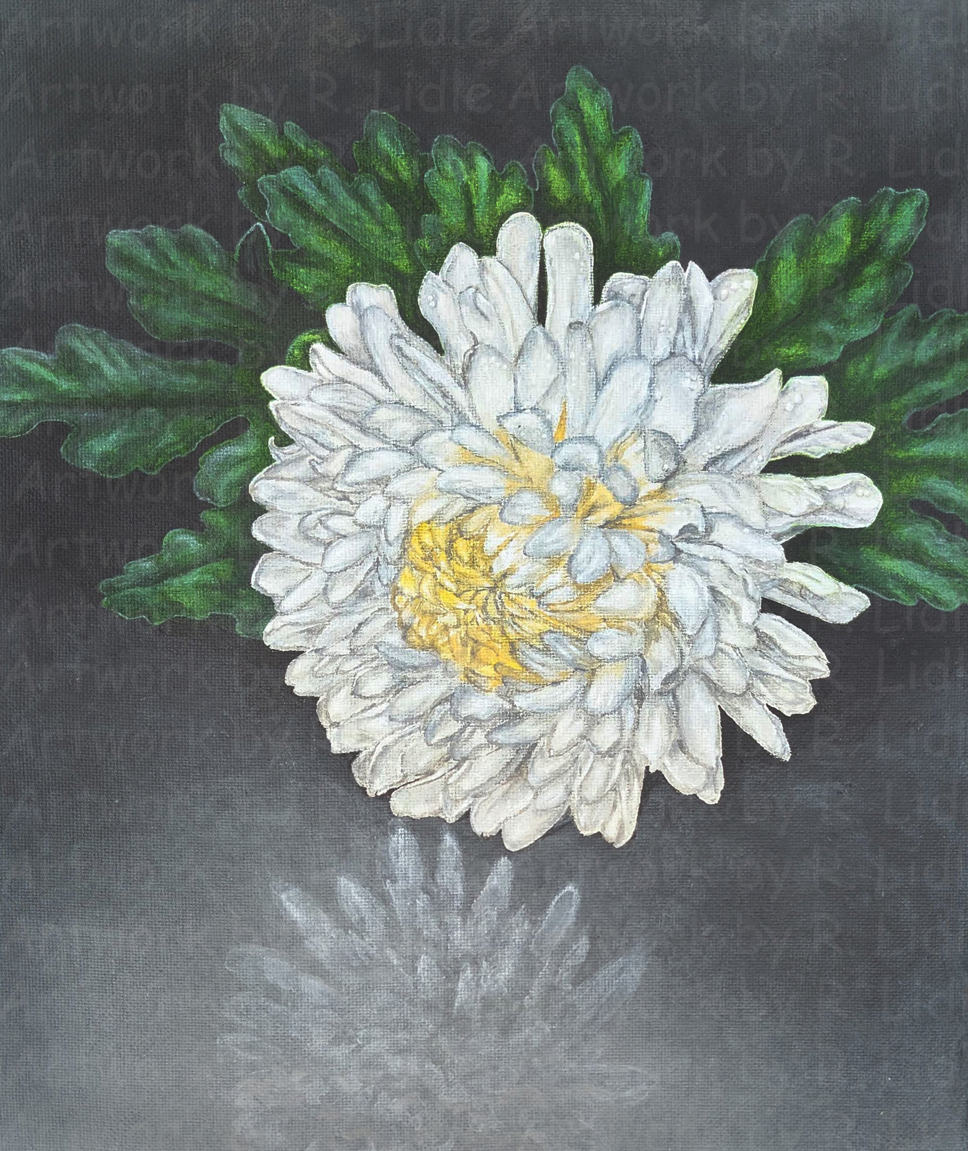 Chrysanthemum
2023
Acrylic on canvas
by R. Lidle
Reprints available on Etsy